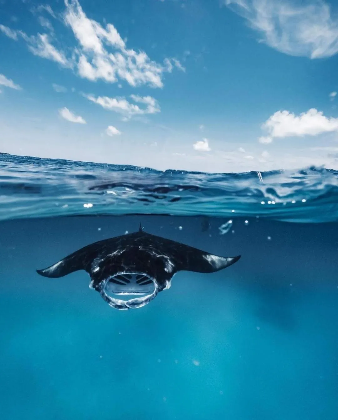 Activities in Kiha Beach