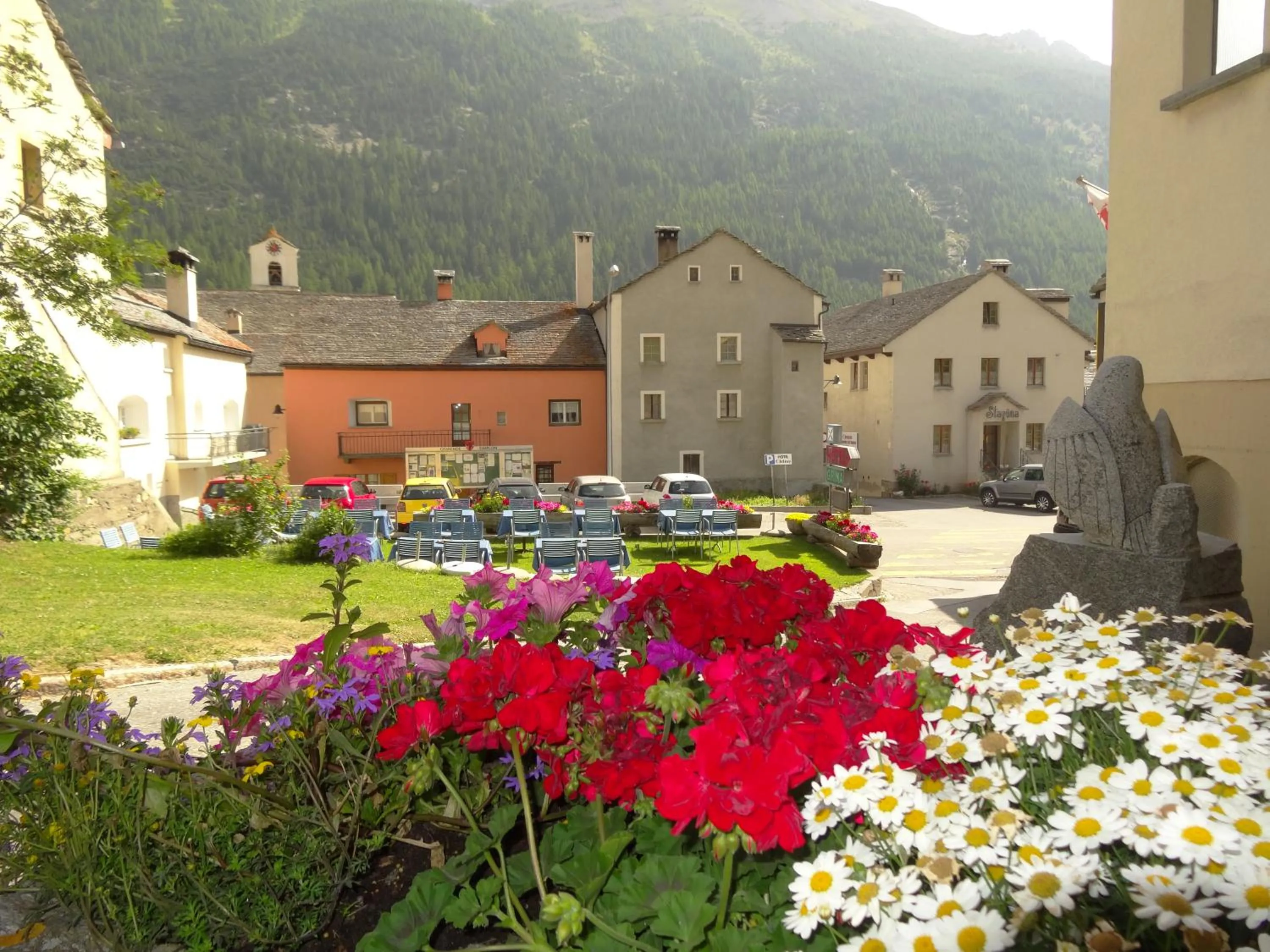 Neighbourhood in Hotel-Restaurant Grina