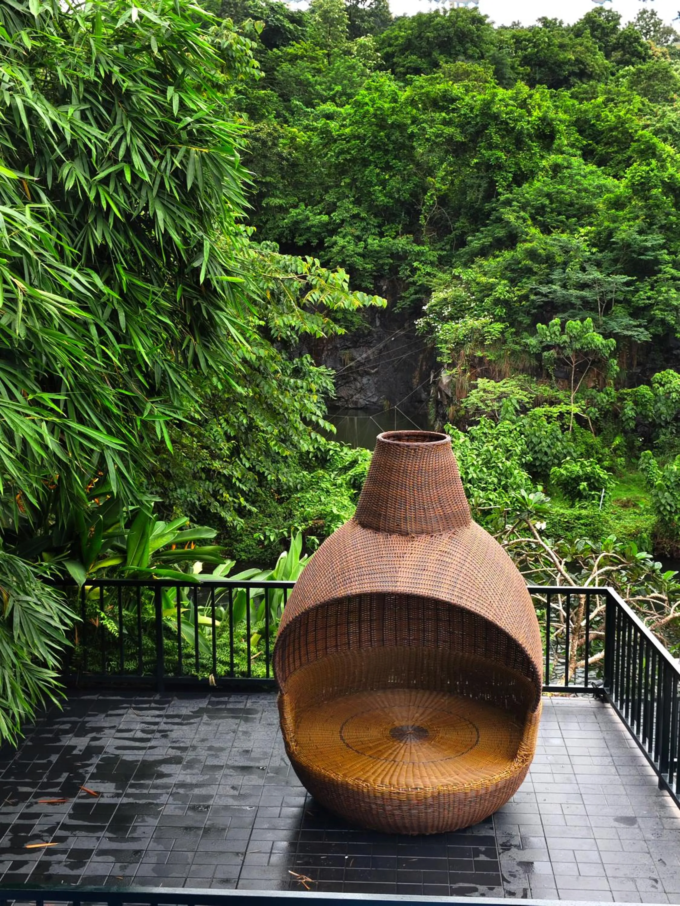 Athirapally Green Trees