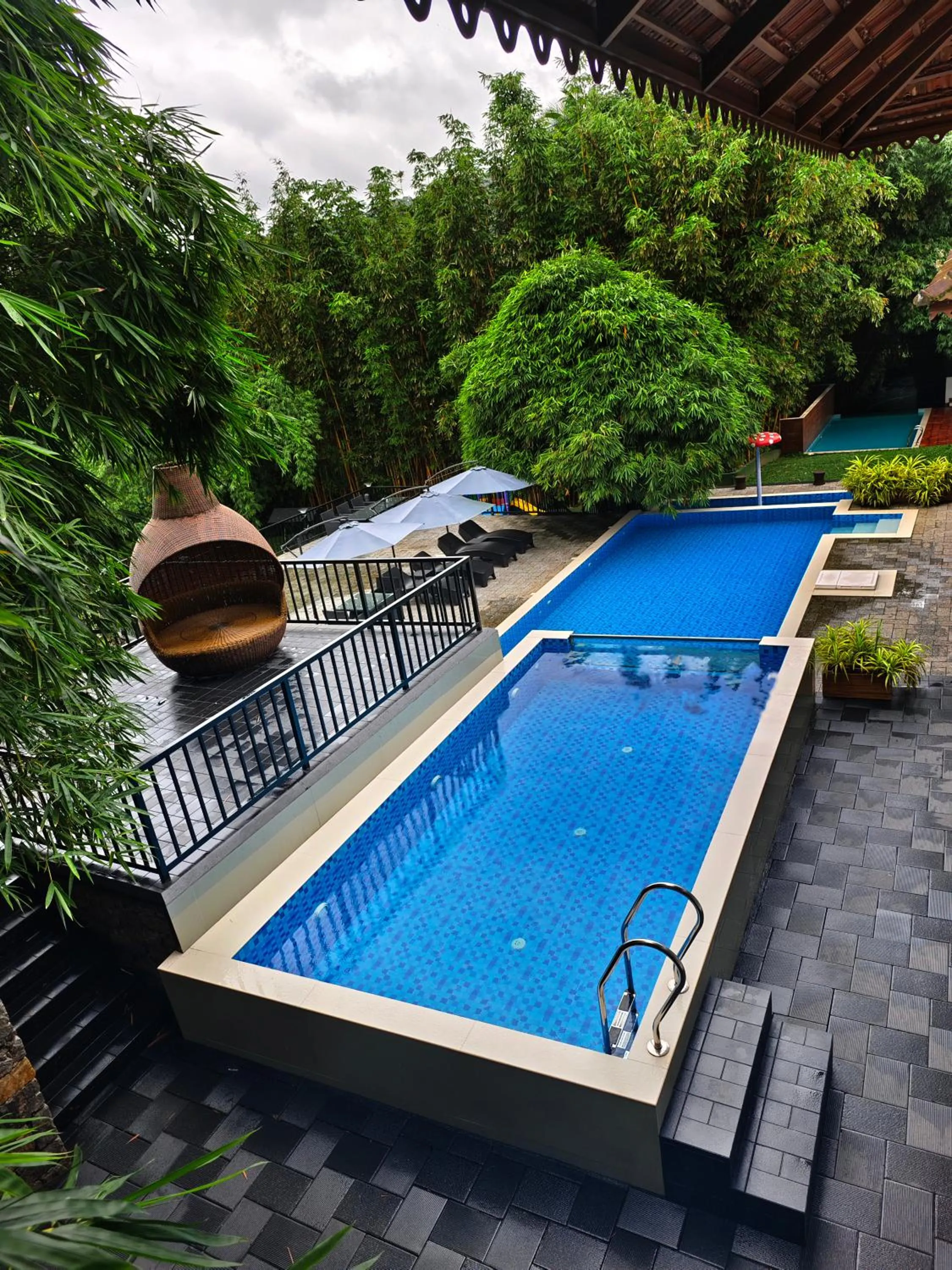 Athirapally Green Trees