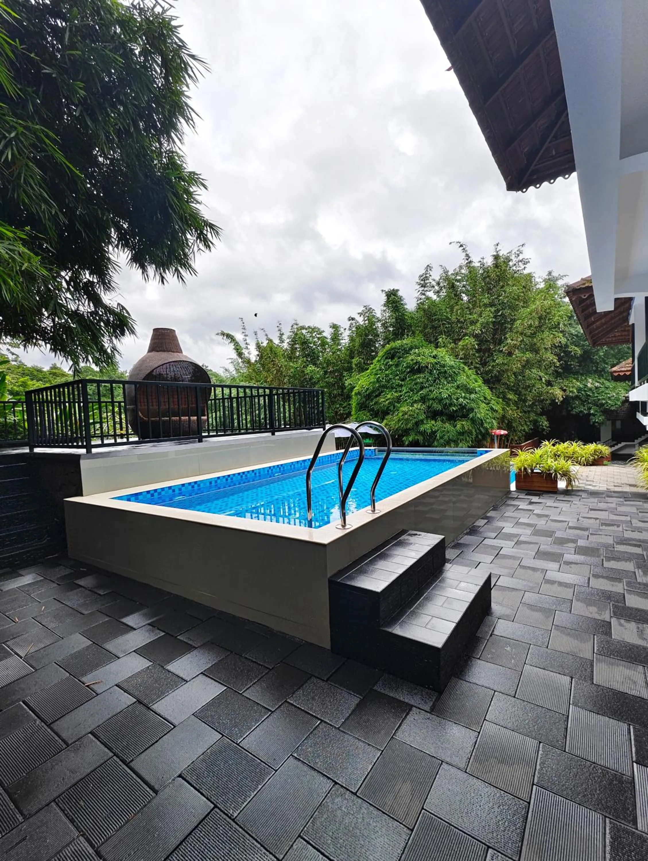 Athirapally Green Trees