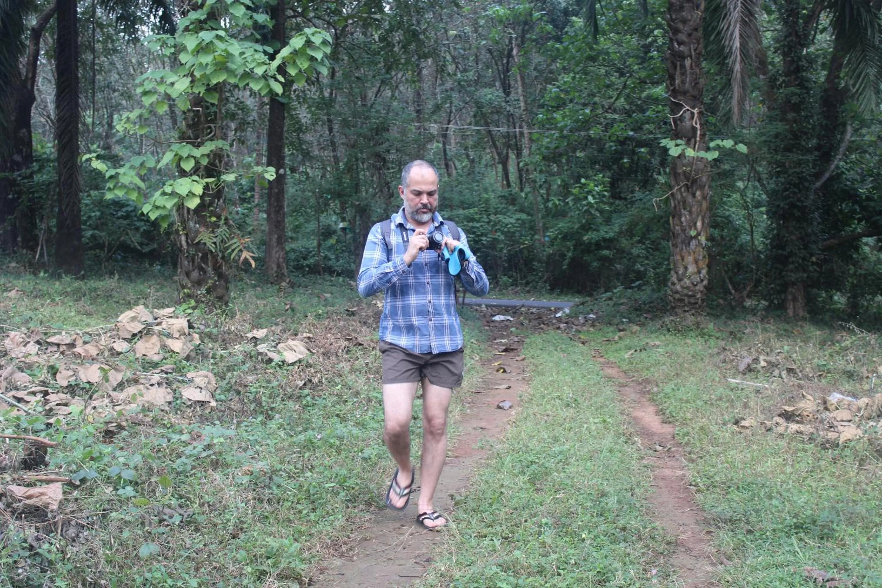 Day in Athirapally Green Trees