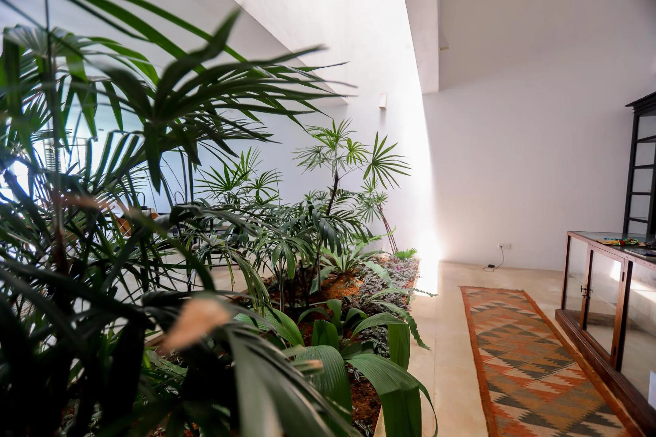 Garden in Bieshu Beach Hive