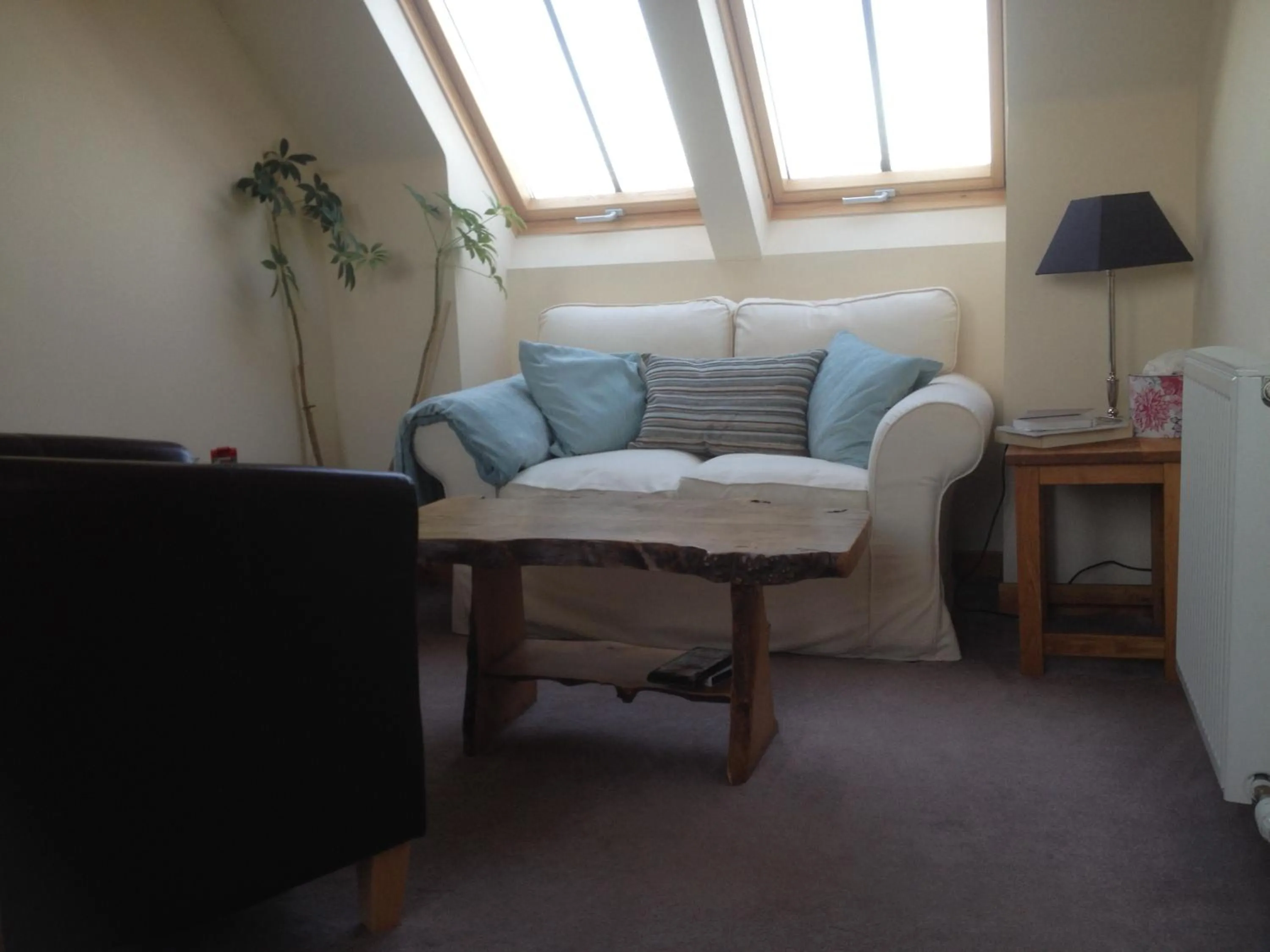 Double Room with Private Bathroom - single occupancy in Chapel of Barras B&B