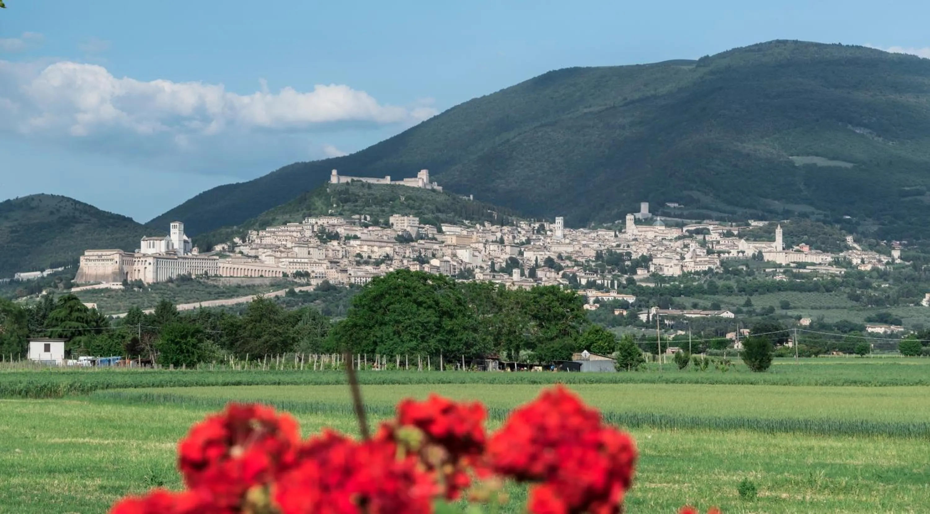 City view in Camere Mariella