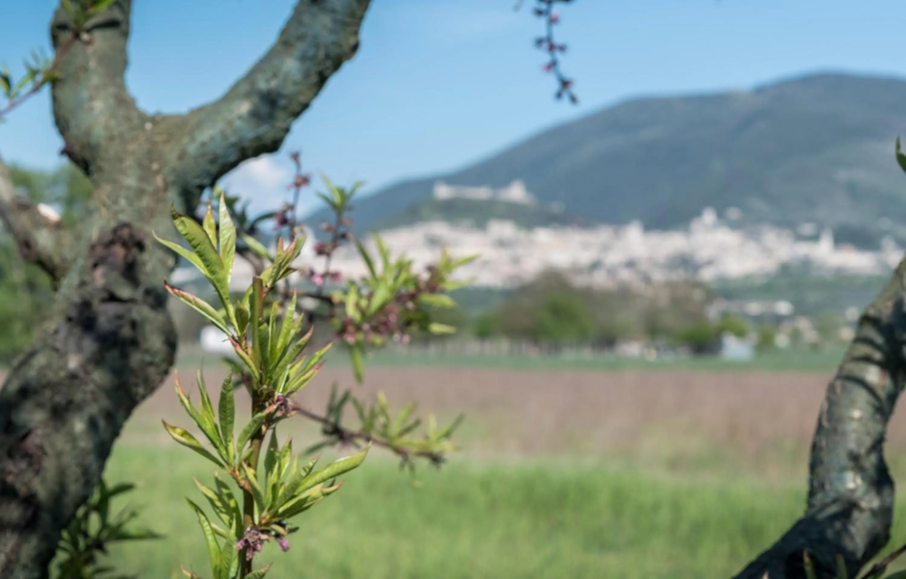 Property building in Camere Mariella