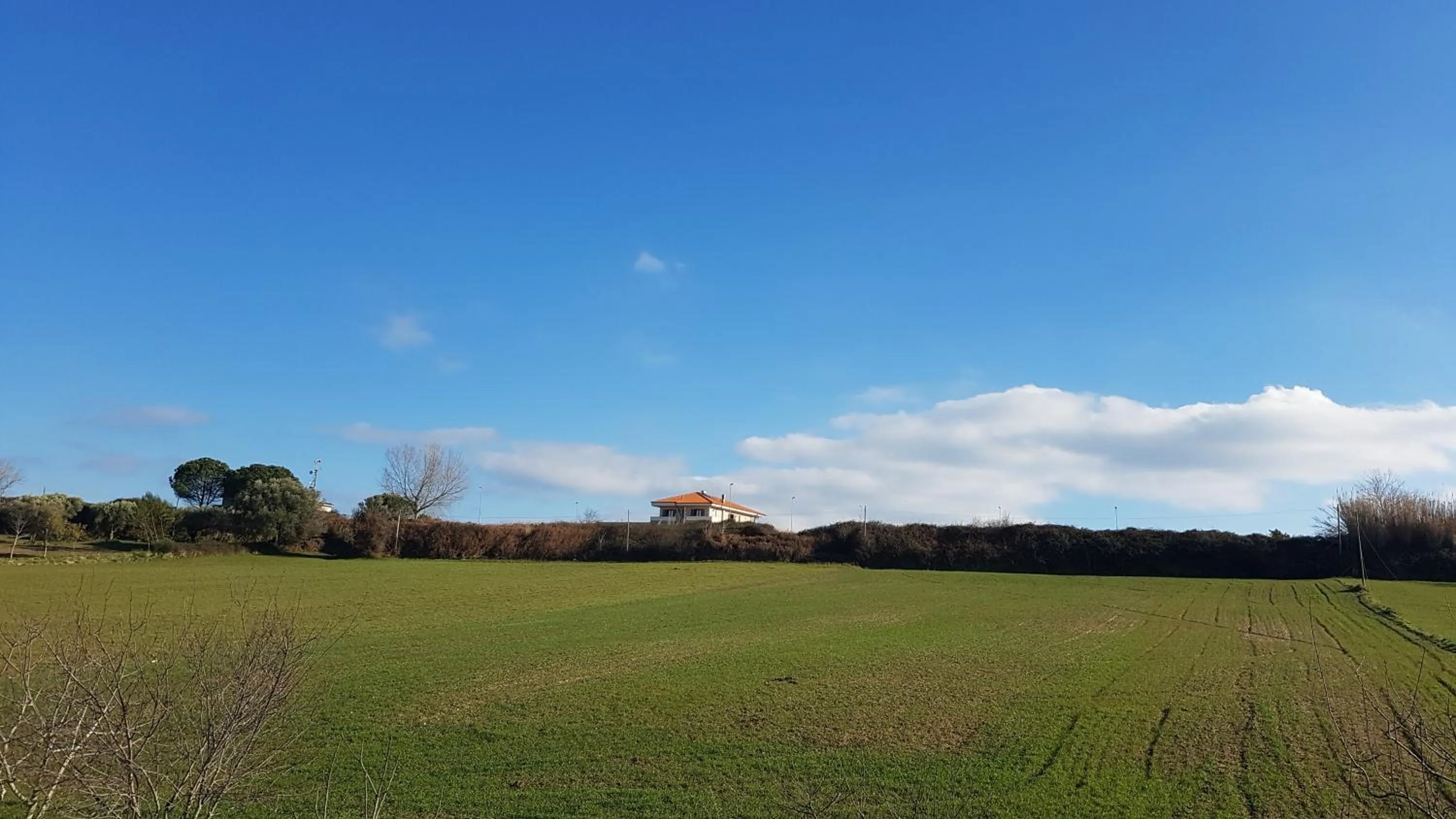 View (from property/room) in B&B Villa Eleonora Tropea