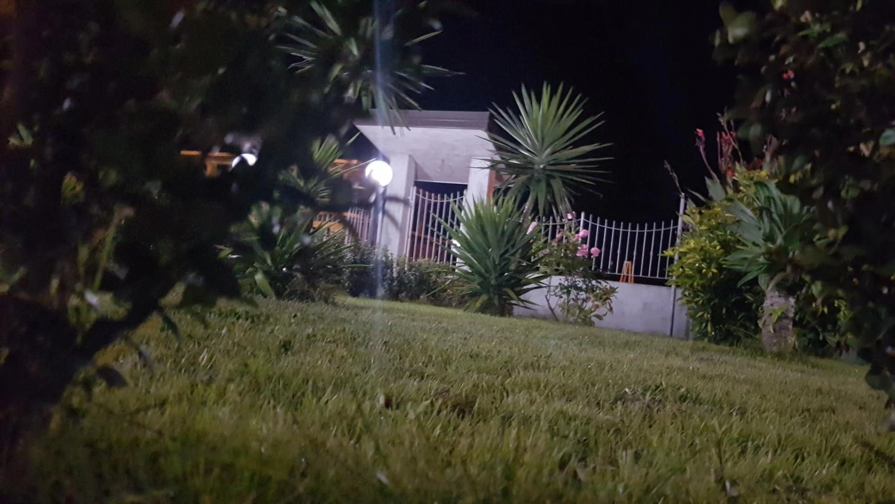 Garden in B&B Villa Eleonora Tropea