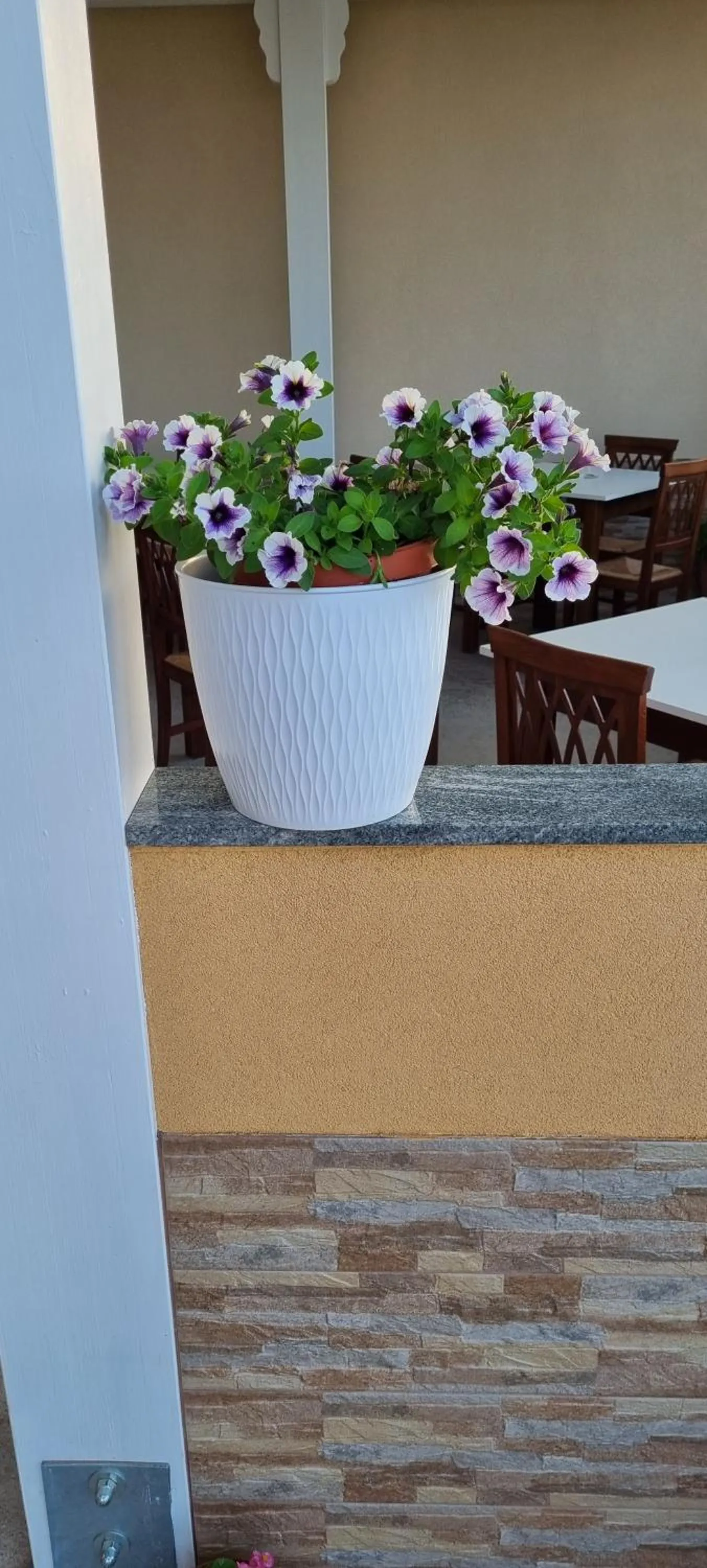 Property building in B&B Villa Eleonora Tropea