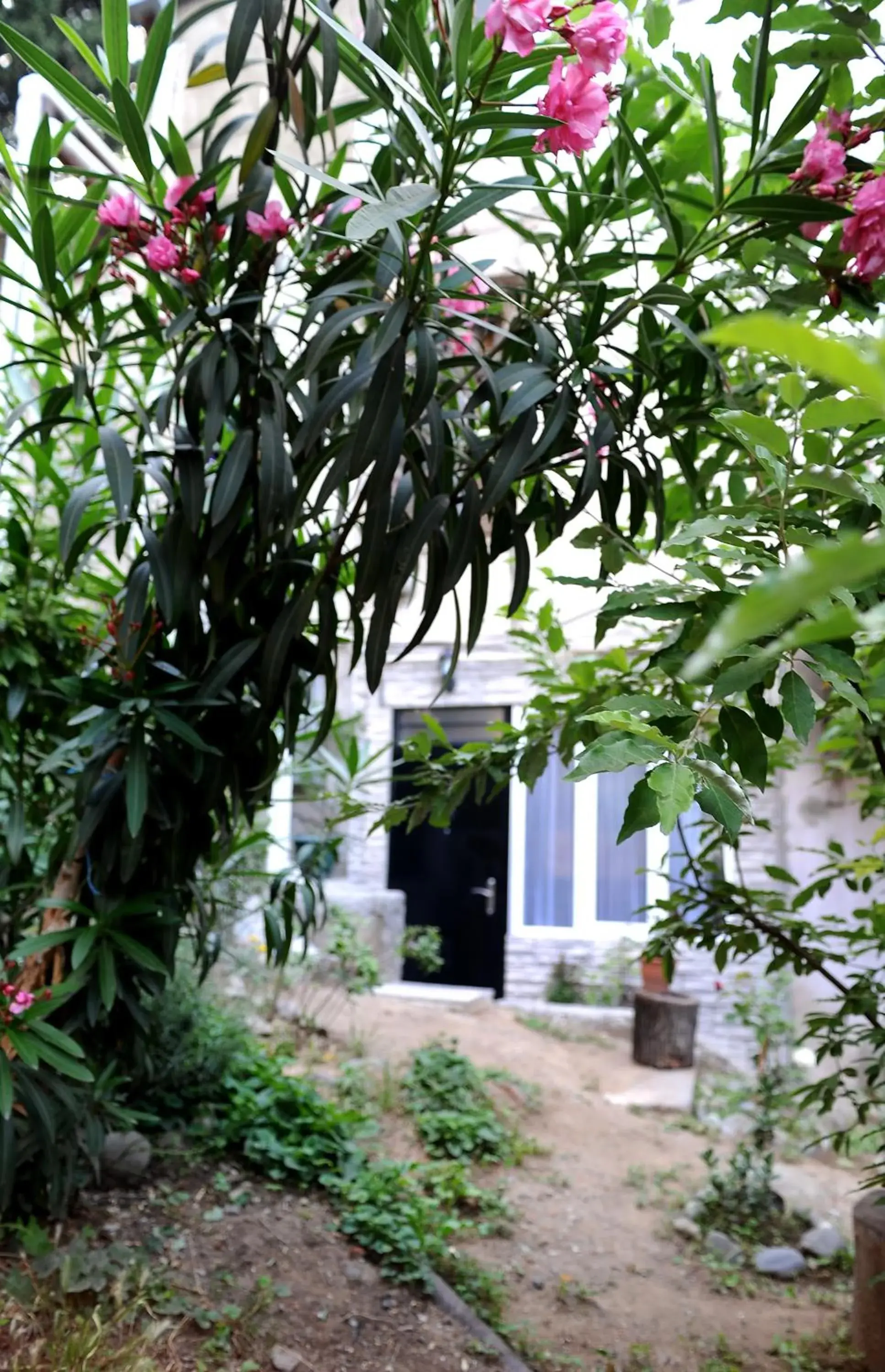 Apartment with Garden View - single occupancy in Old Vera Apartment with Garden View - single occupancy in Old Vera