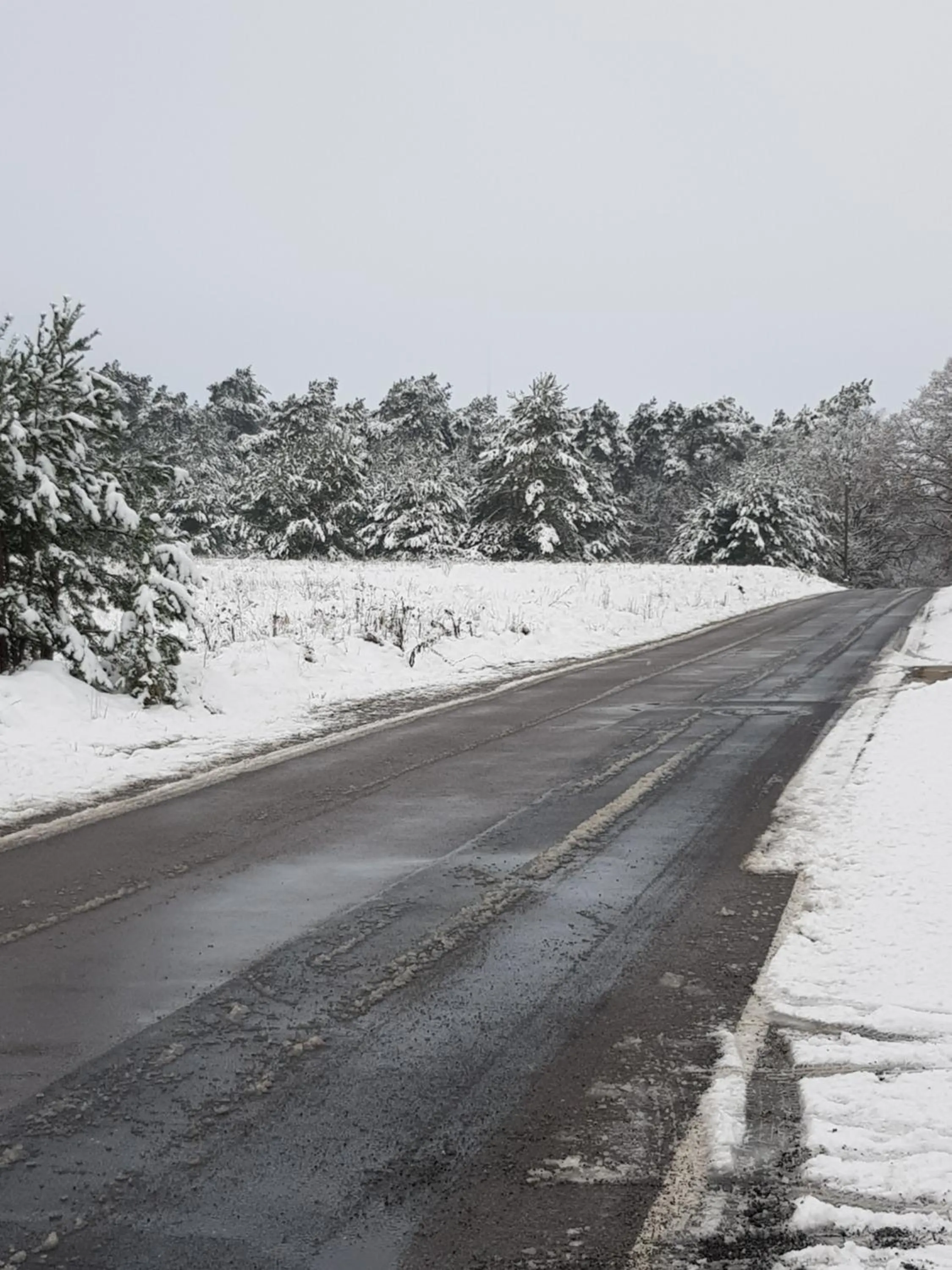 Staff in Boardinghouse Wittenberg