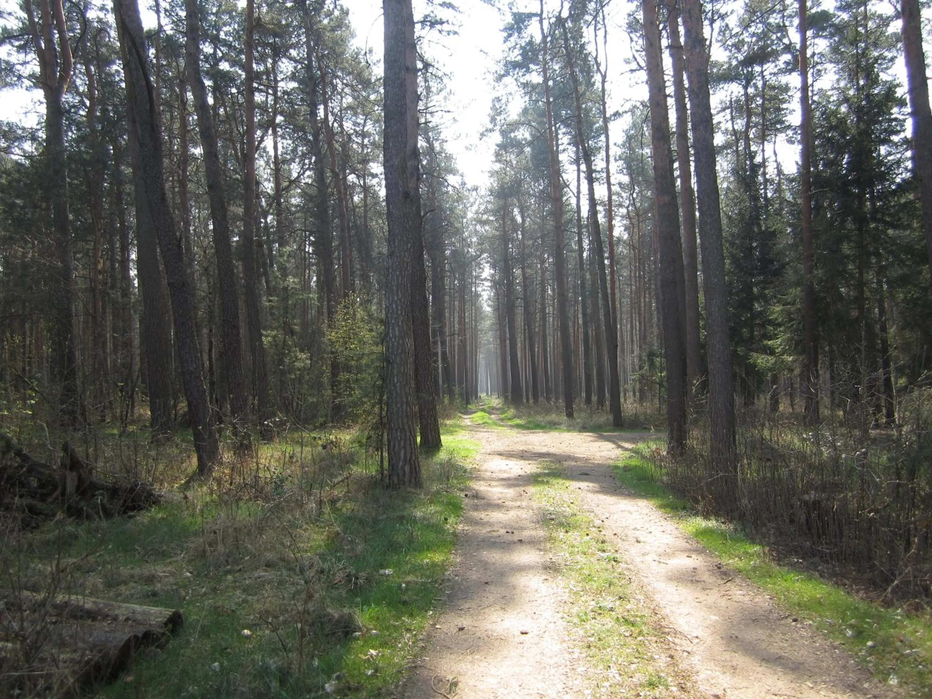 Other in Boardinghouse Wittenberg