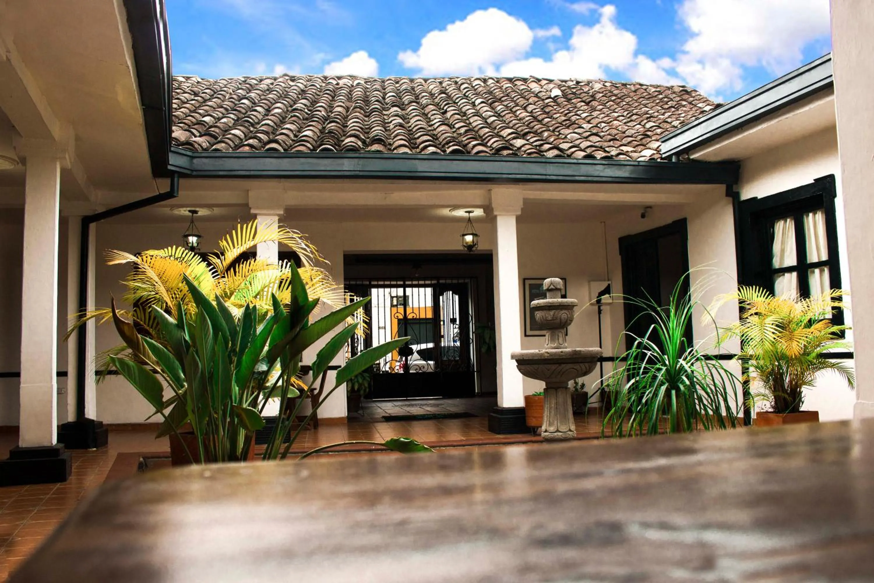 Garden view in Hotel Los Portales Inn