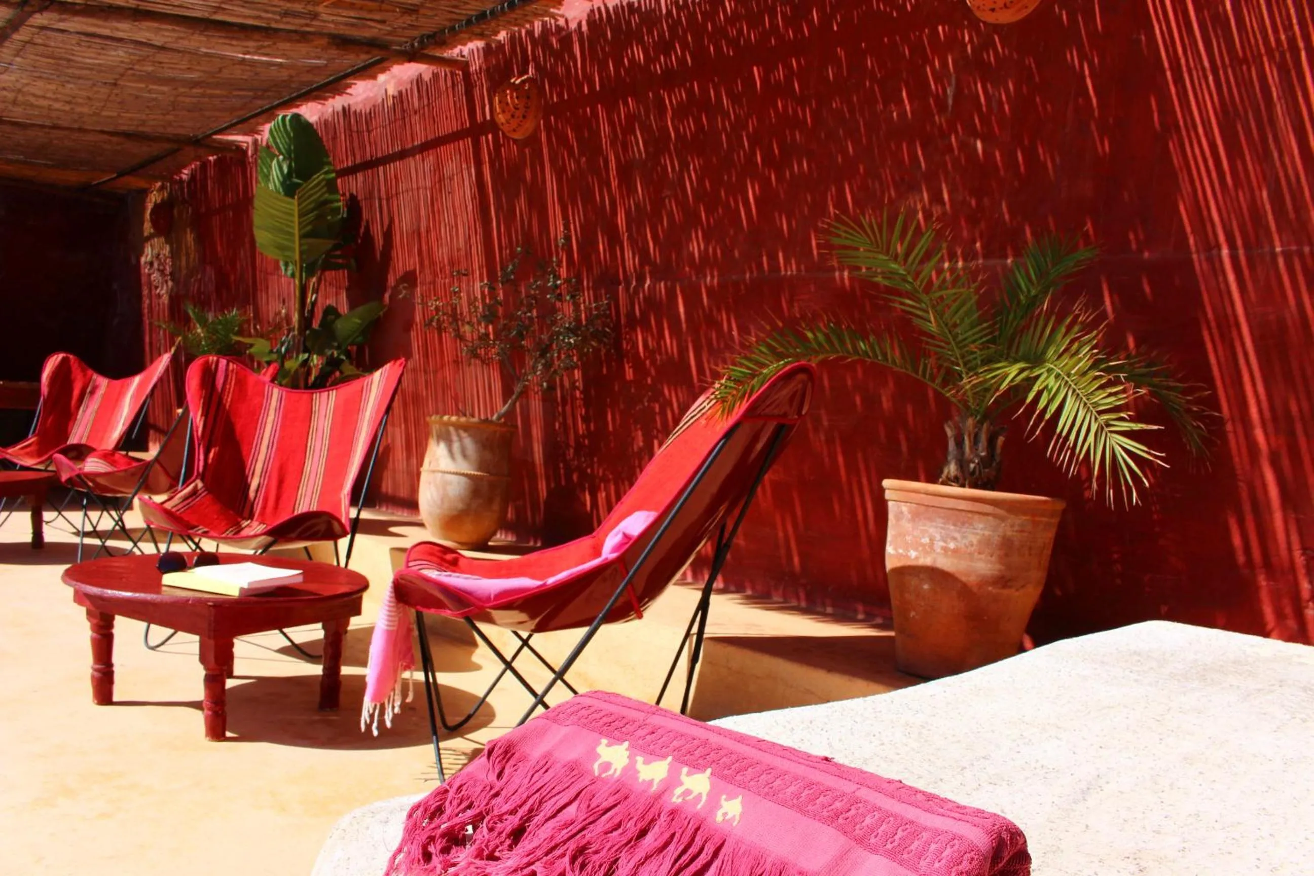 Patio in Hotel De Charme Les 3 Chameaux 4 étoiles
