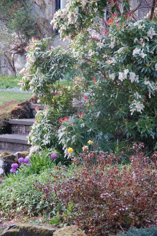 Garden in Lubnaig Guest House