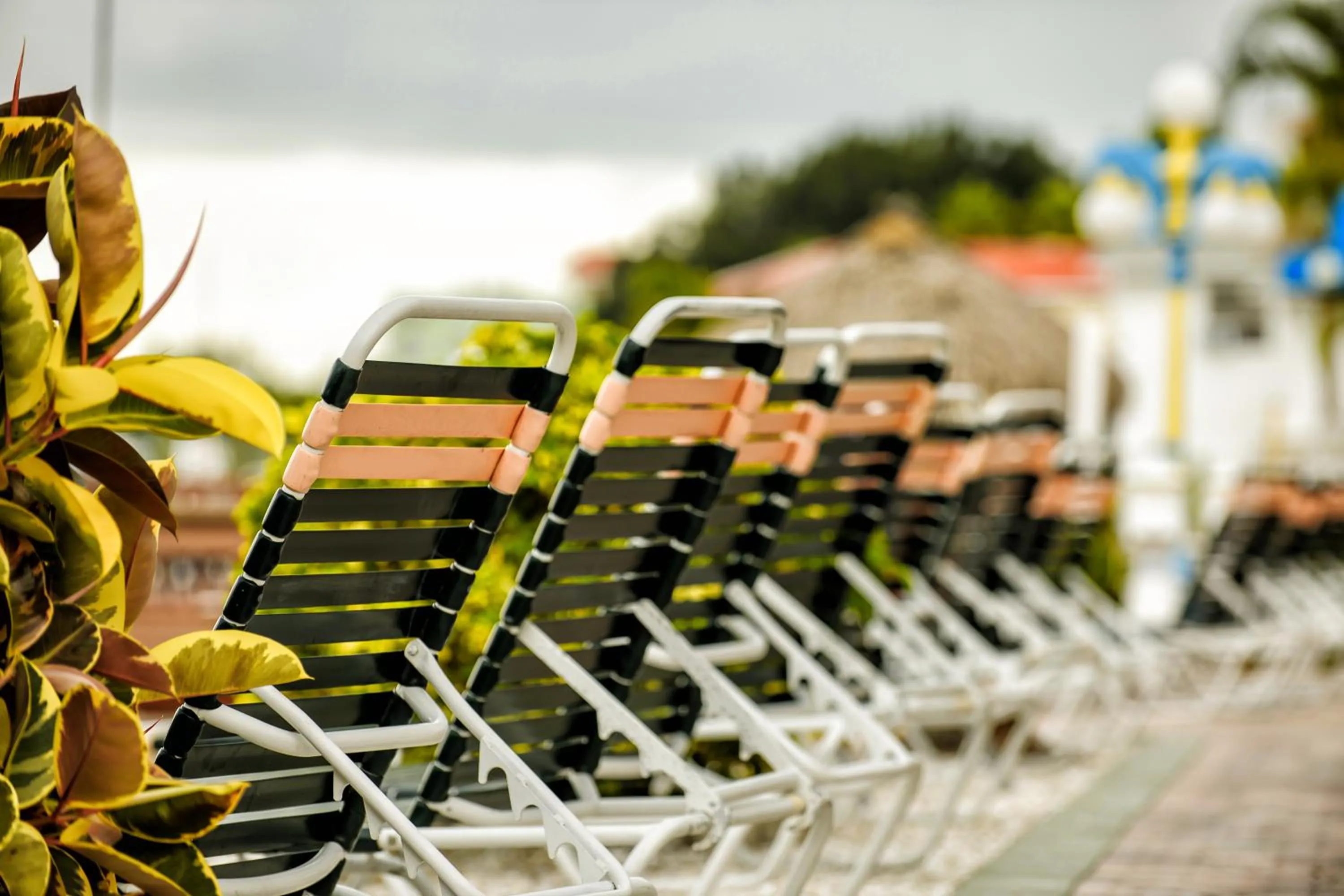 Other in Bayview Plaza Waterfront Resort