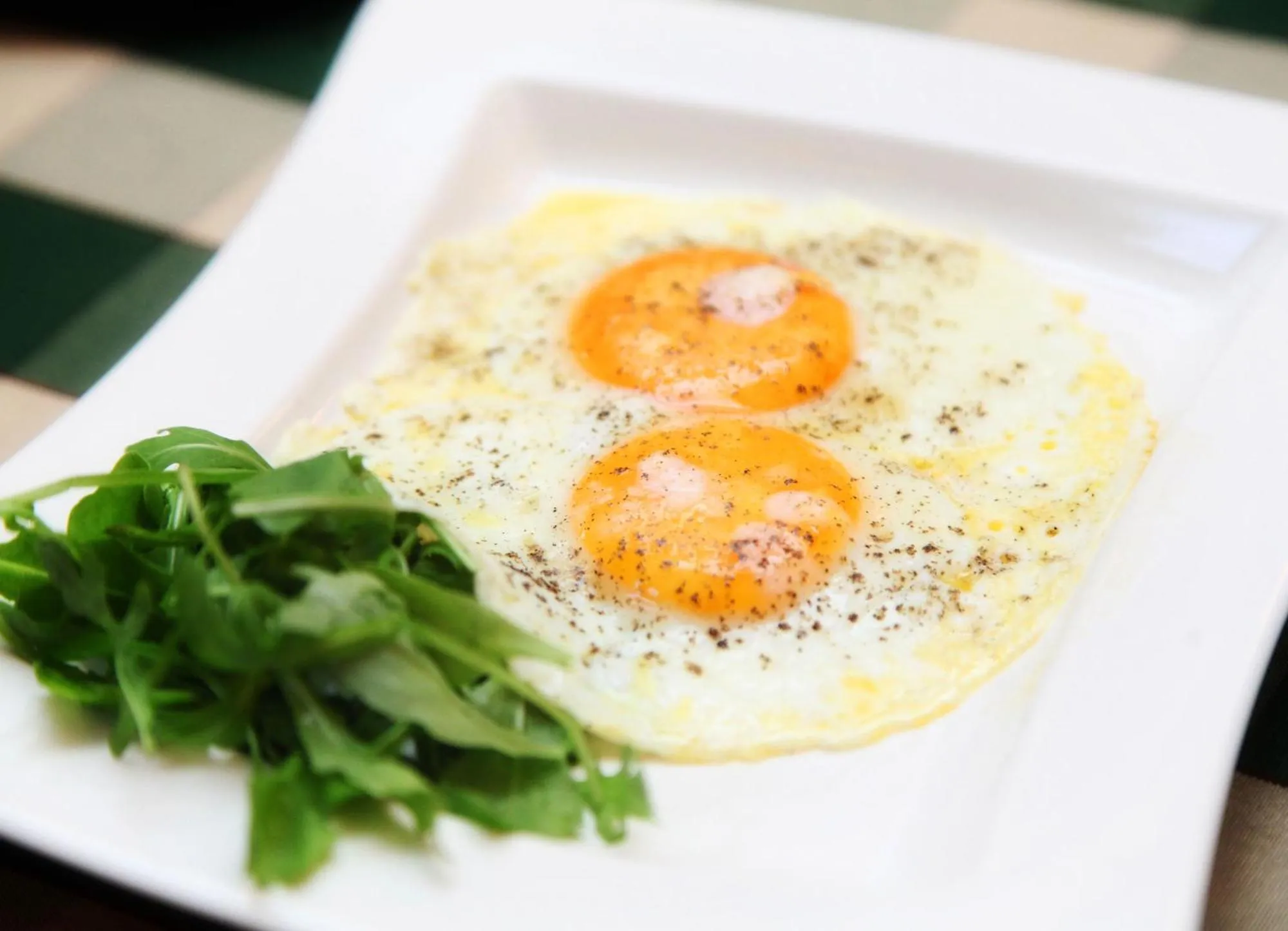 Food close-up in my CITY HOTEL