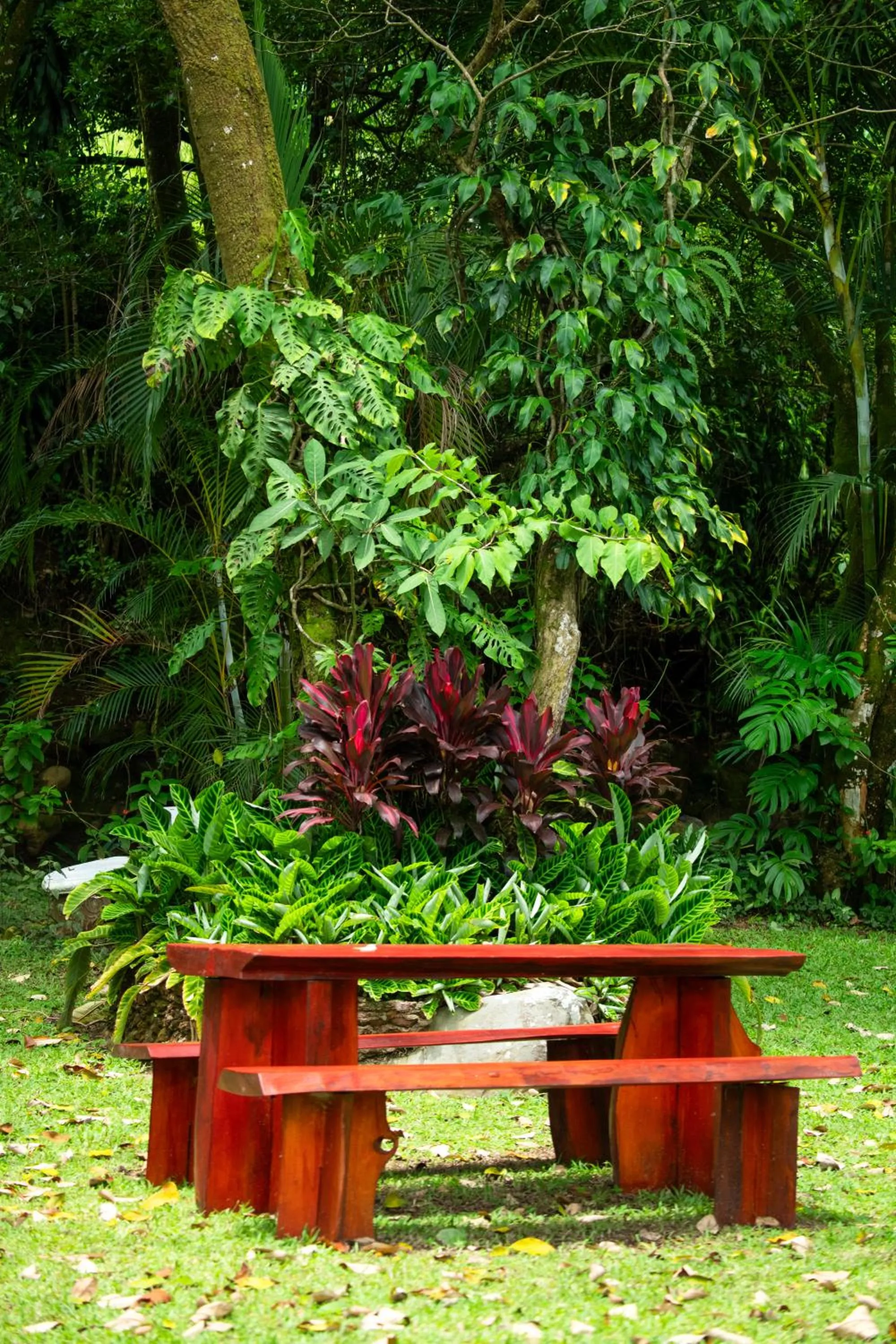 La Terraza Guest House B&B