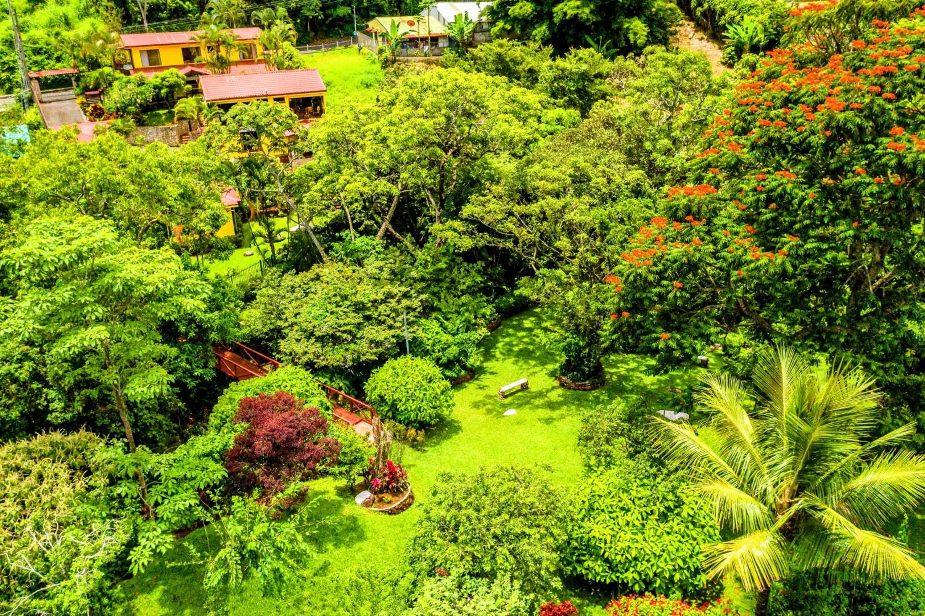 La Terraza Guest House B&B