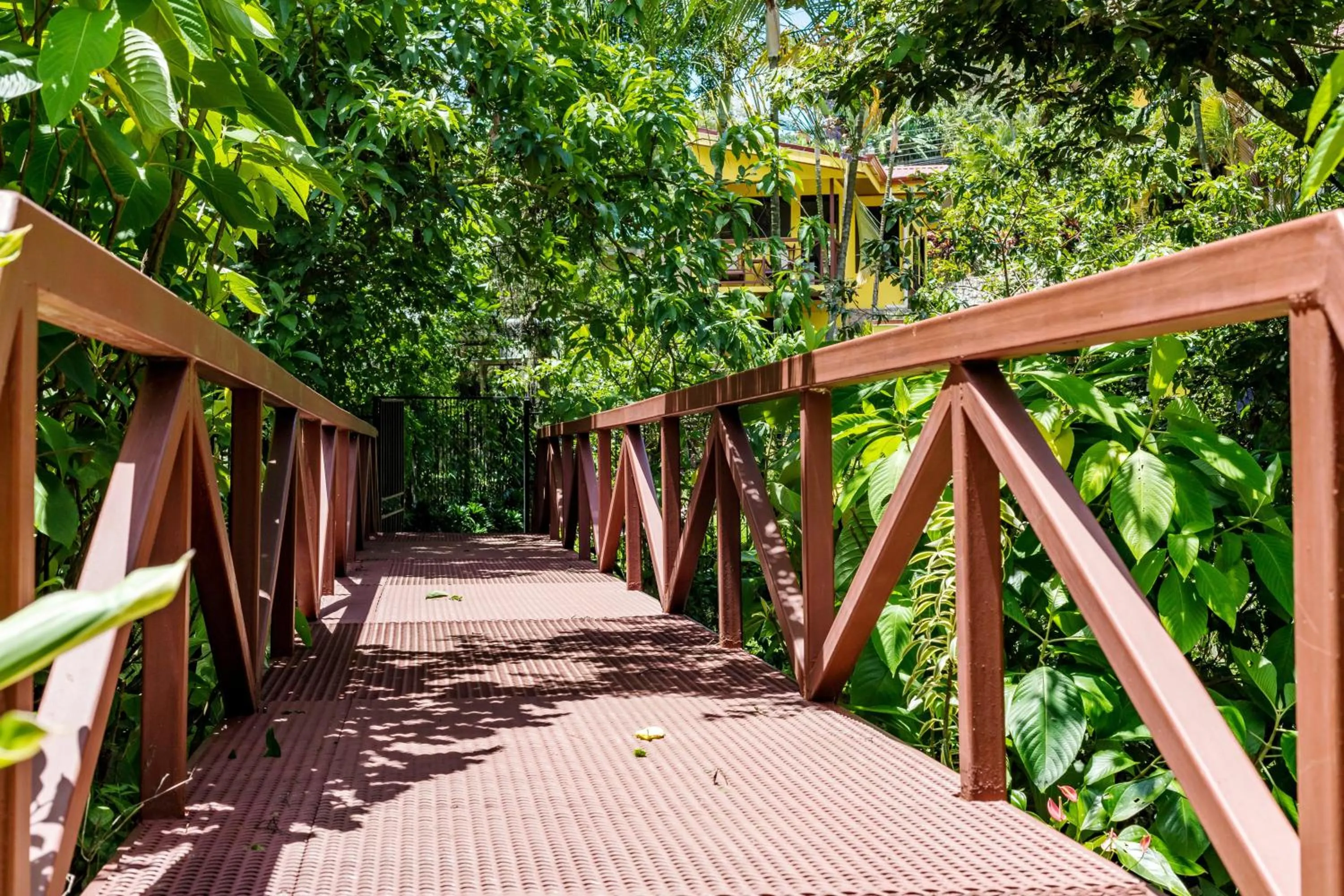 Garden in La Terraza Guest House B&B