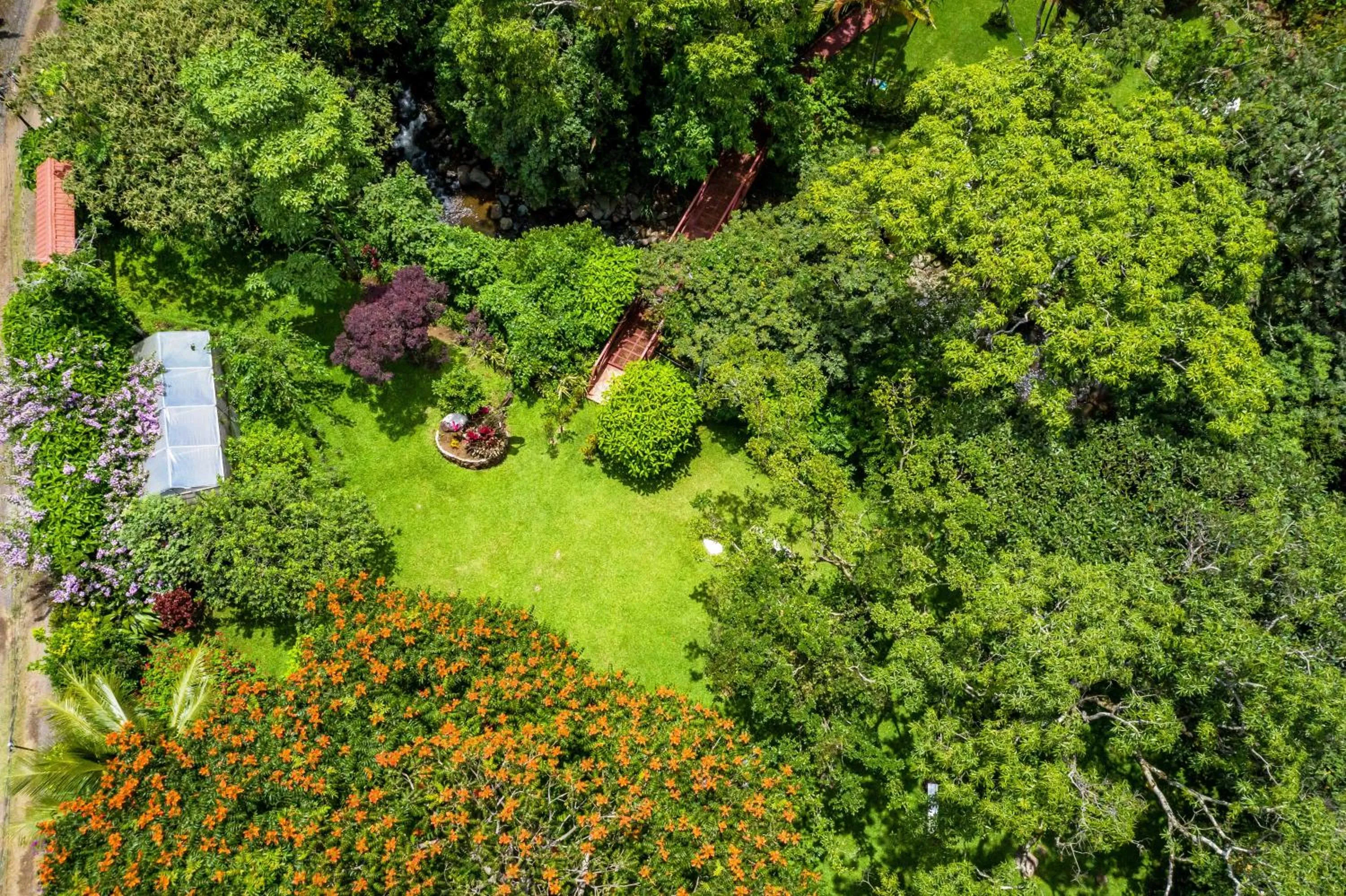 Bird's eye view in La Terraza Guest House B&B