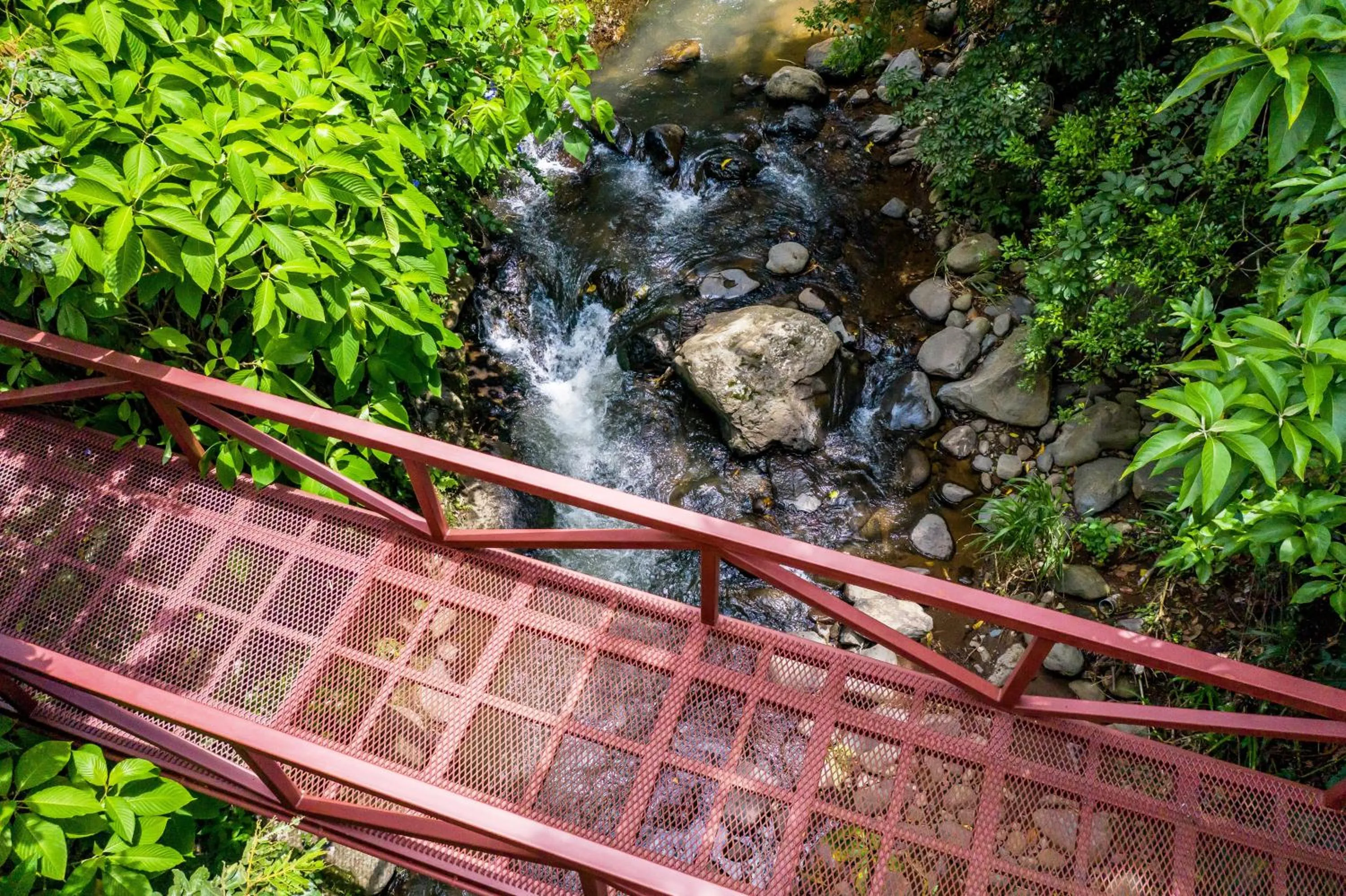 Garden in La Terraza Guest House B&B