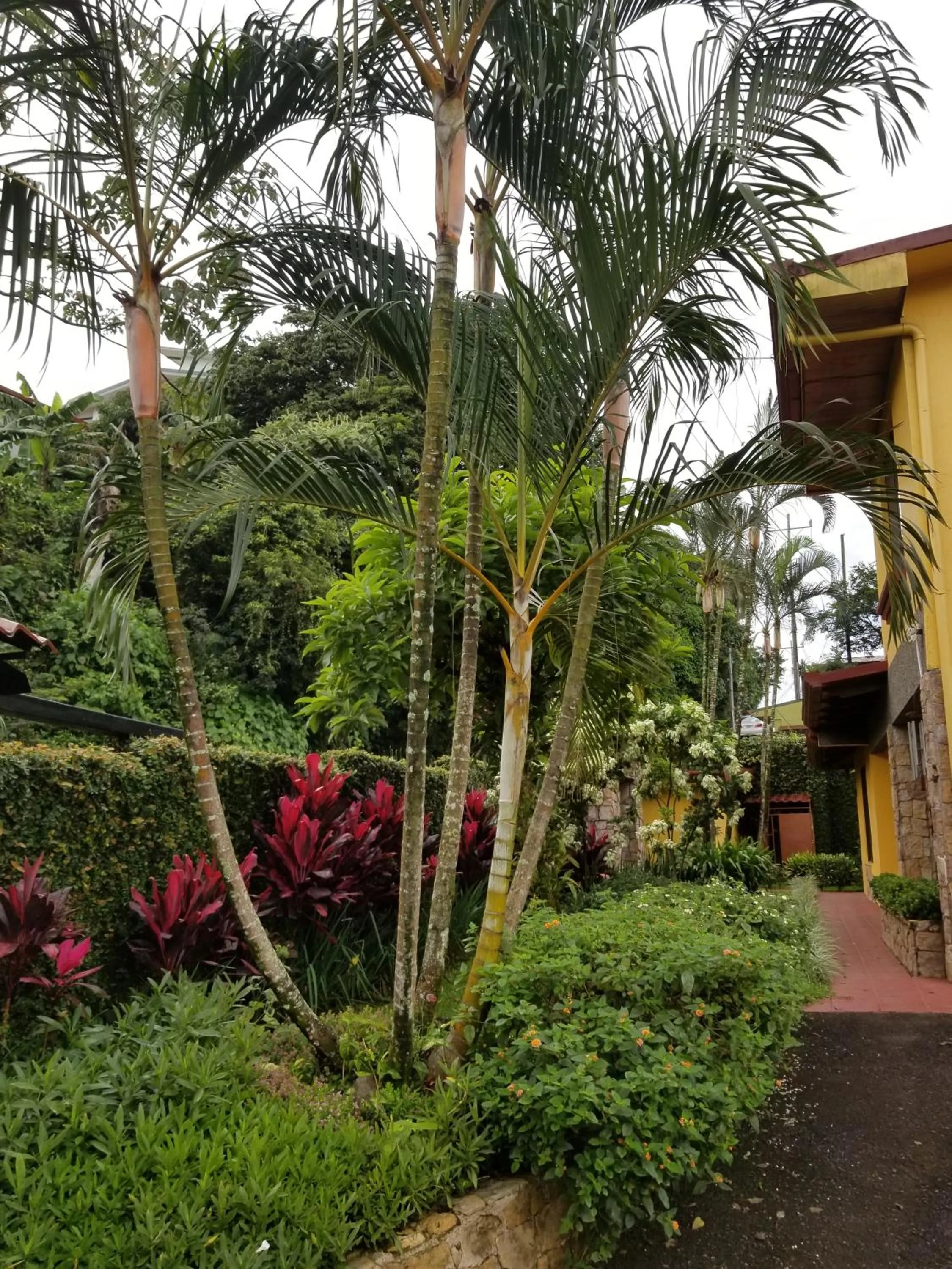 Property building in La Terraza Guest House B&B