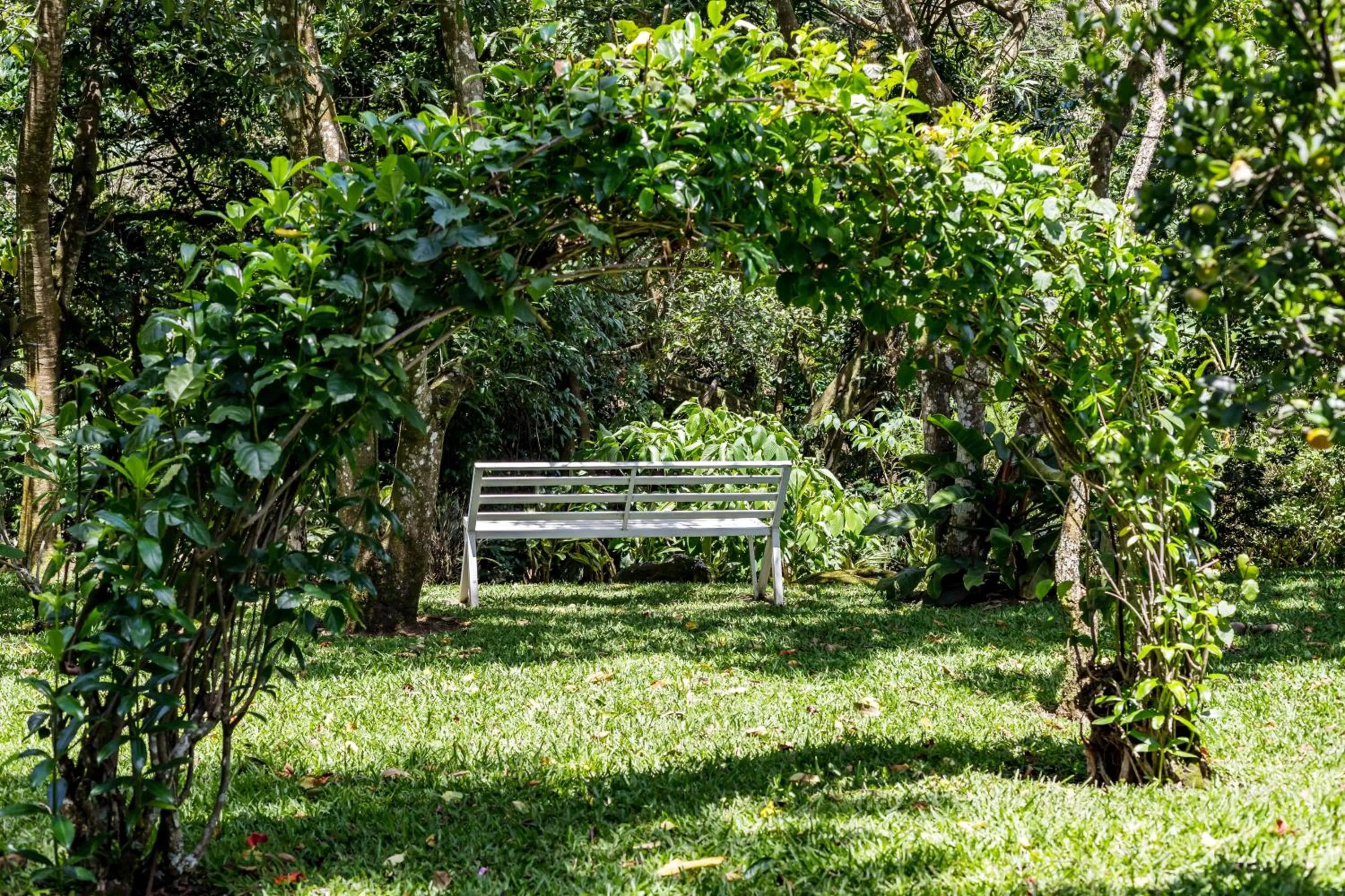 Garden in La Terraza Guest House B&B