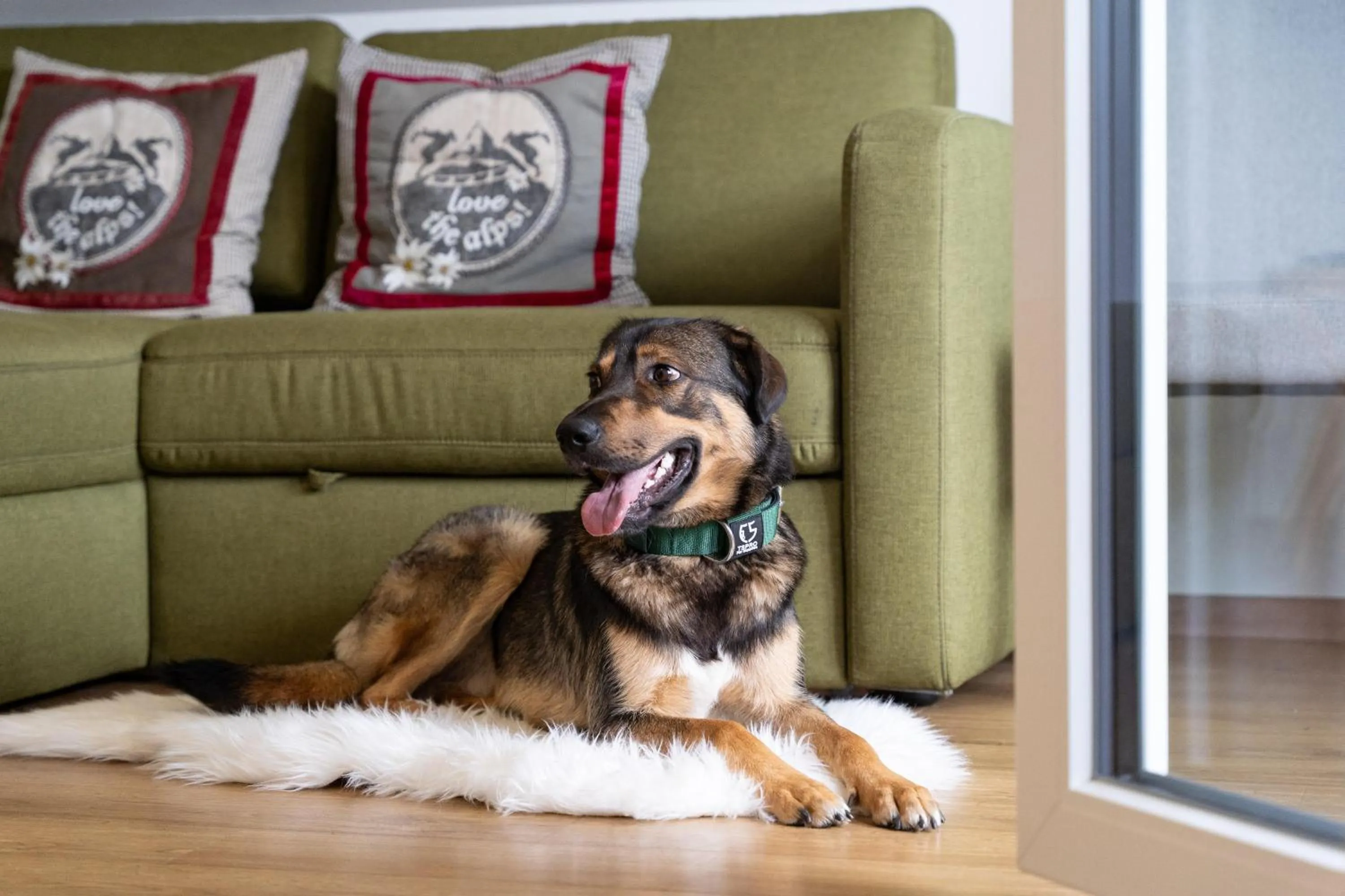 Pets in COOEE alpin Hotel Dachstein