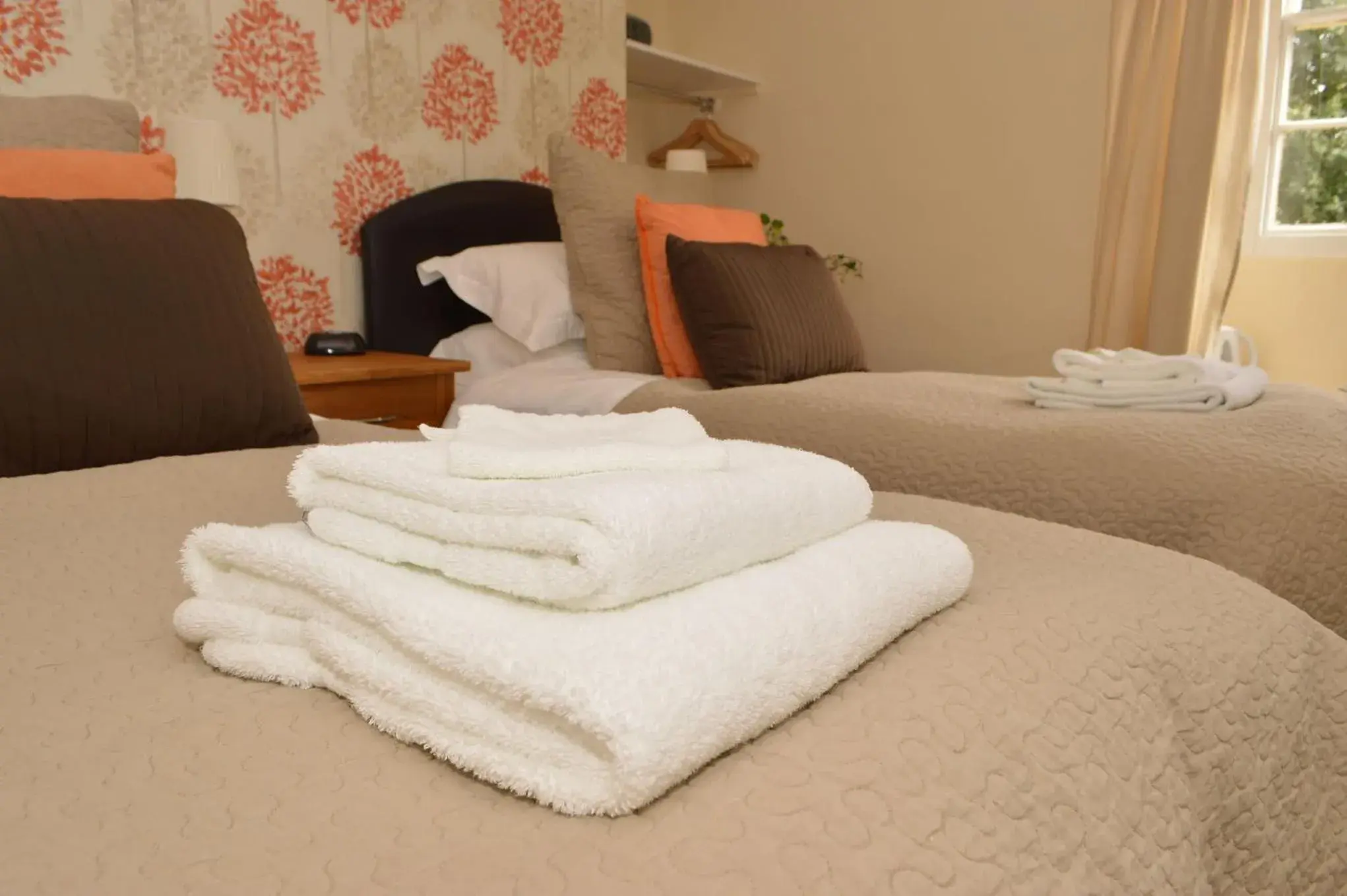 Twin or double with shower "Dog Friendly" in Red Lion Inn Twin or double with shower "Dog Friendly" in Red Lion Inn