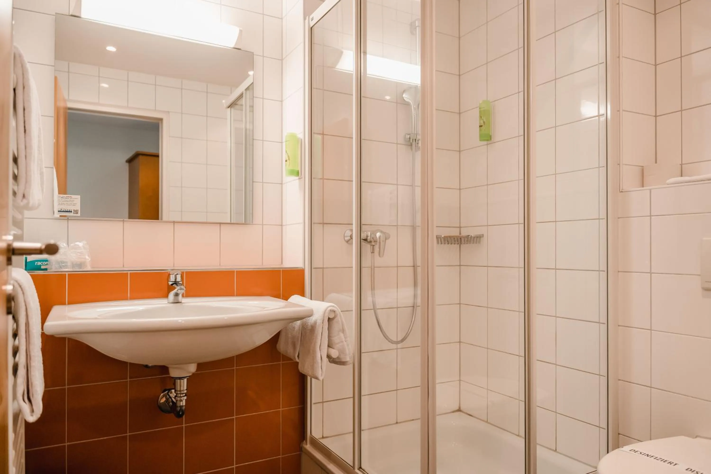 Shower in Hotel Hegau