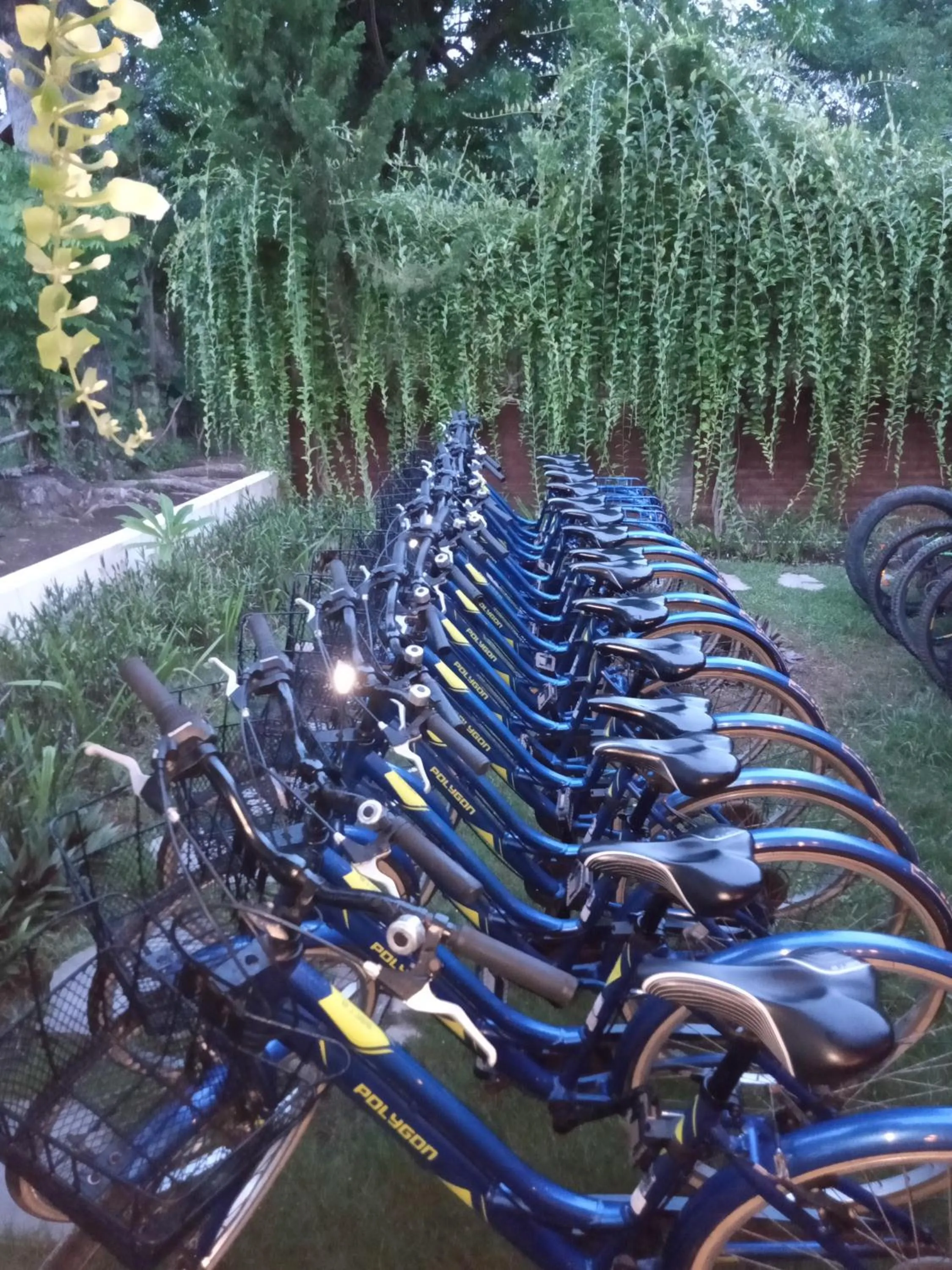 Cycling in Gili Buana Hostel & Backpackers Gili Air