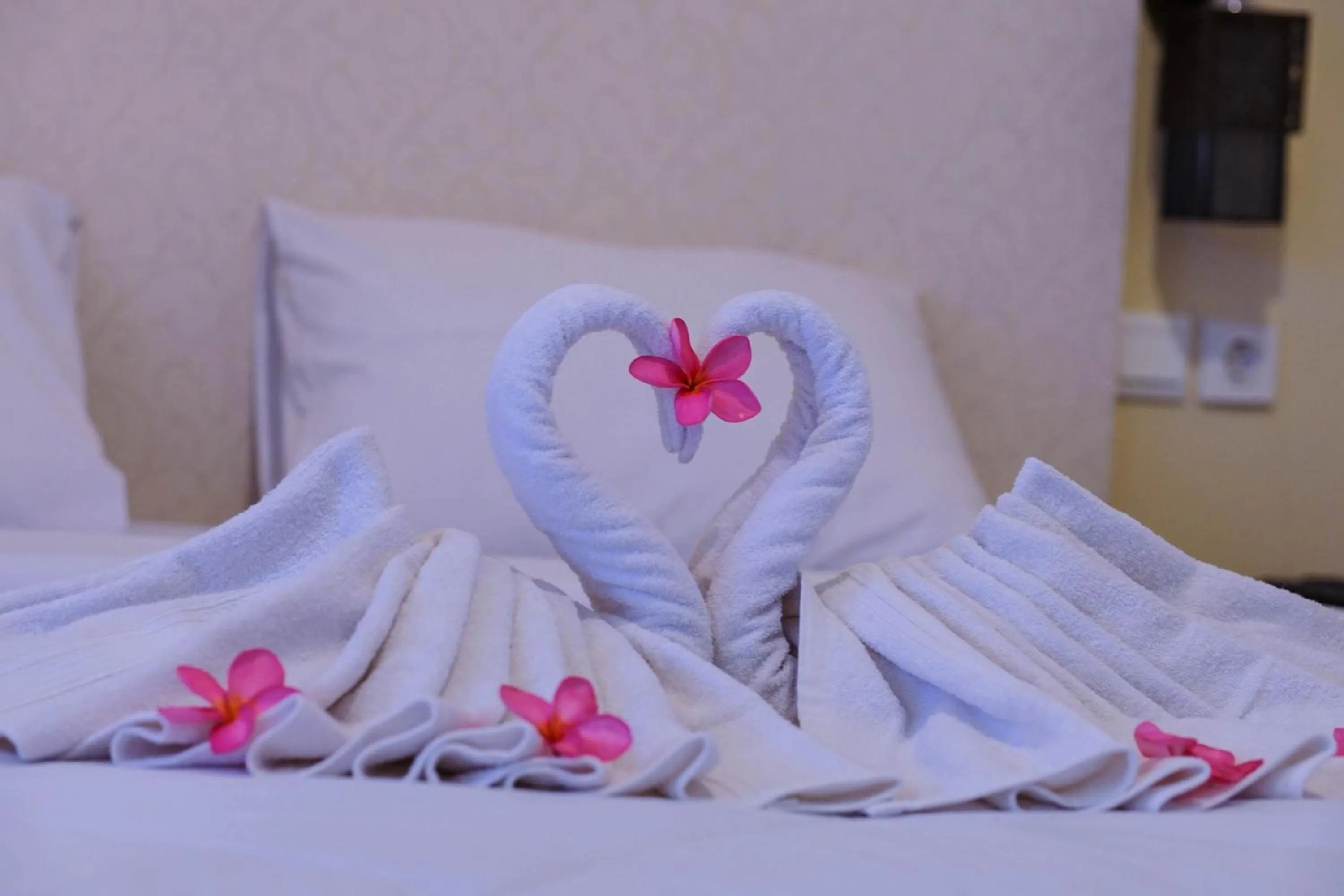 Photo of the whole room, Bed in Gili Buana Hostel & Backpackers Gili Air