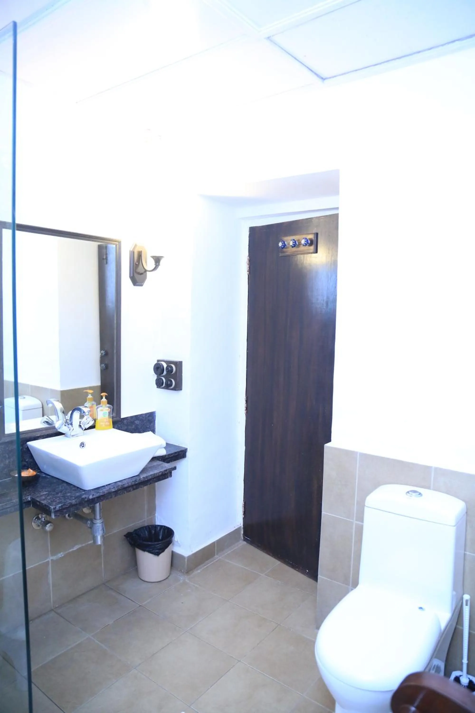 Toilet in Raghu Vilas