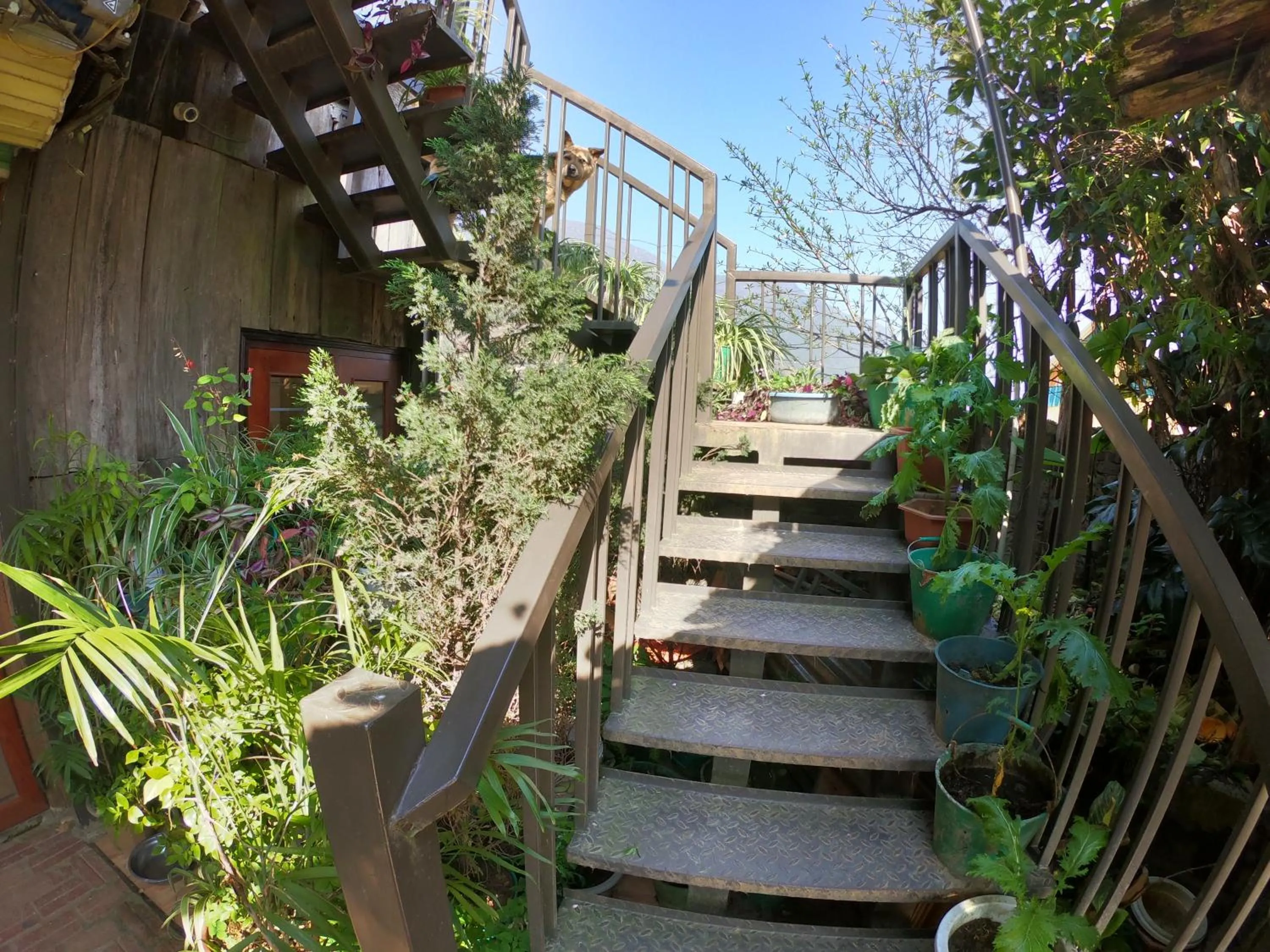 Patio in Amica House