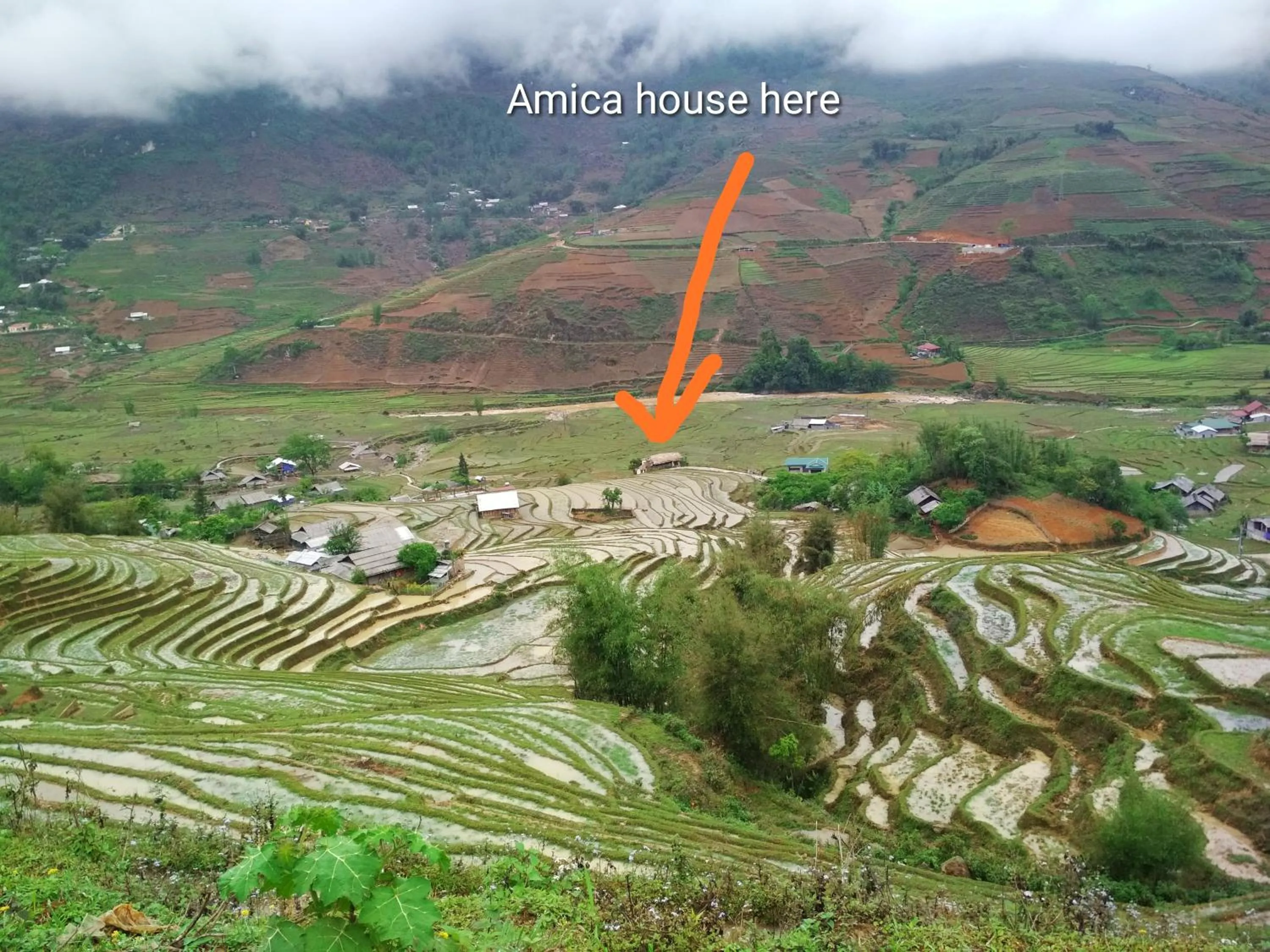 Neighbourhood in Amica House