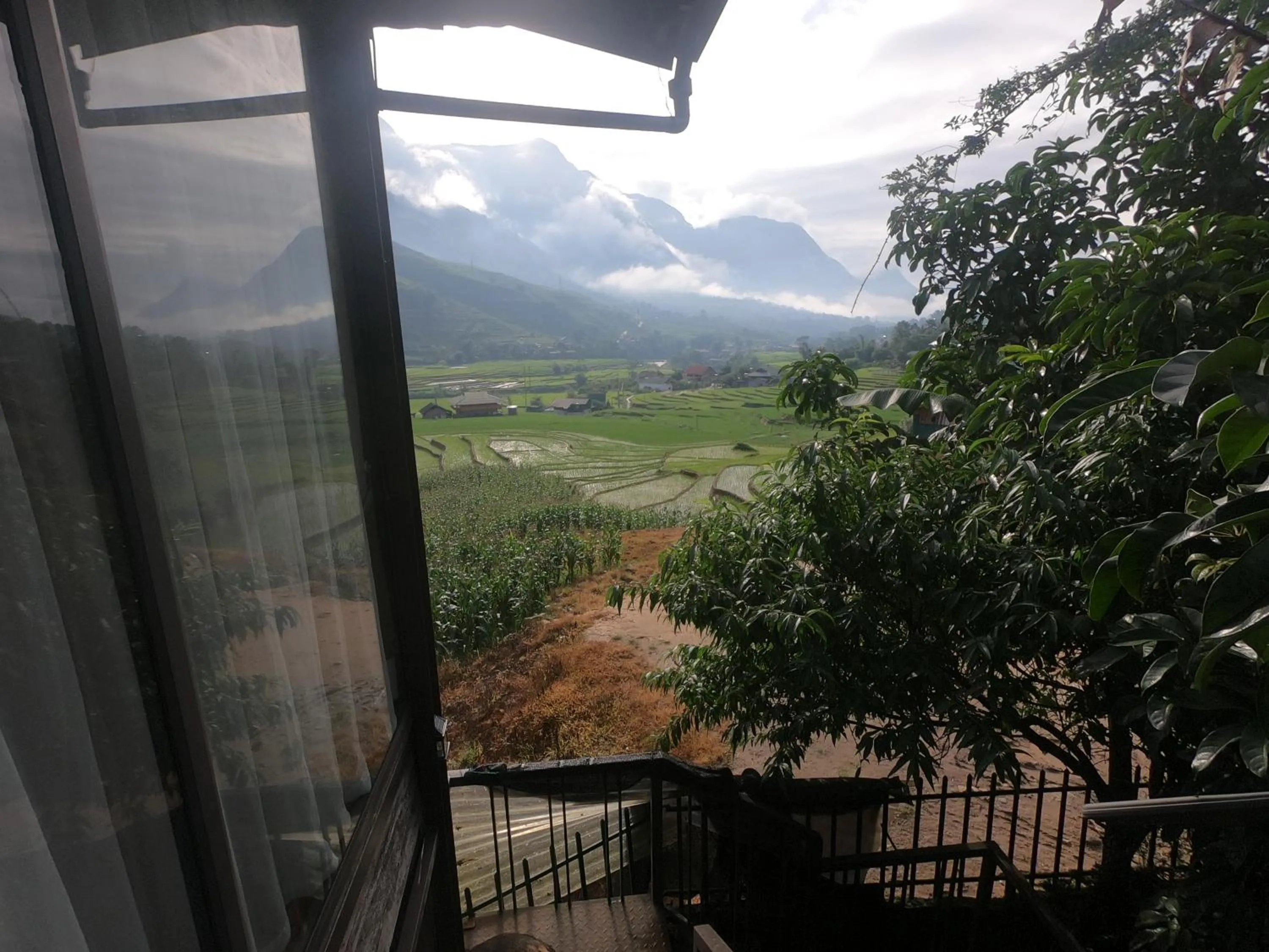 Natural landscape in Amica House