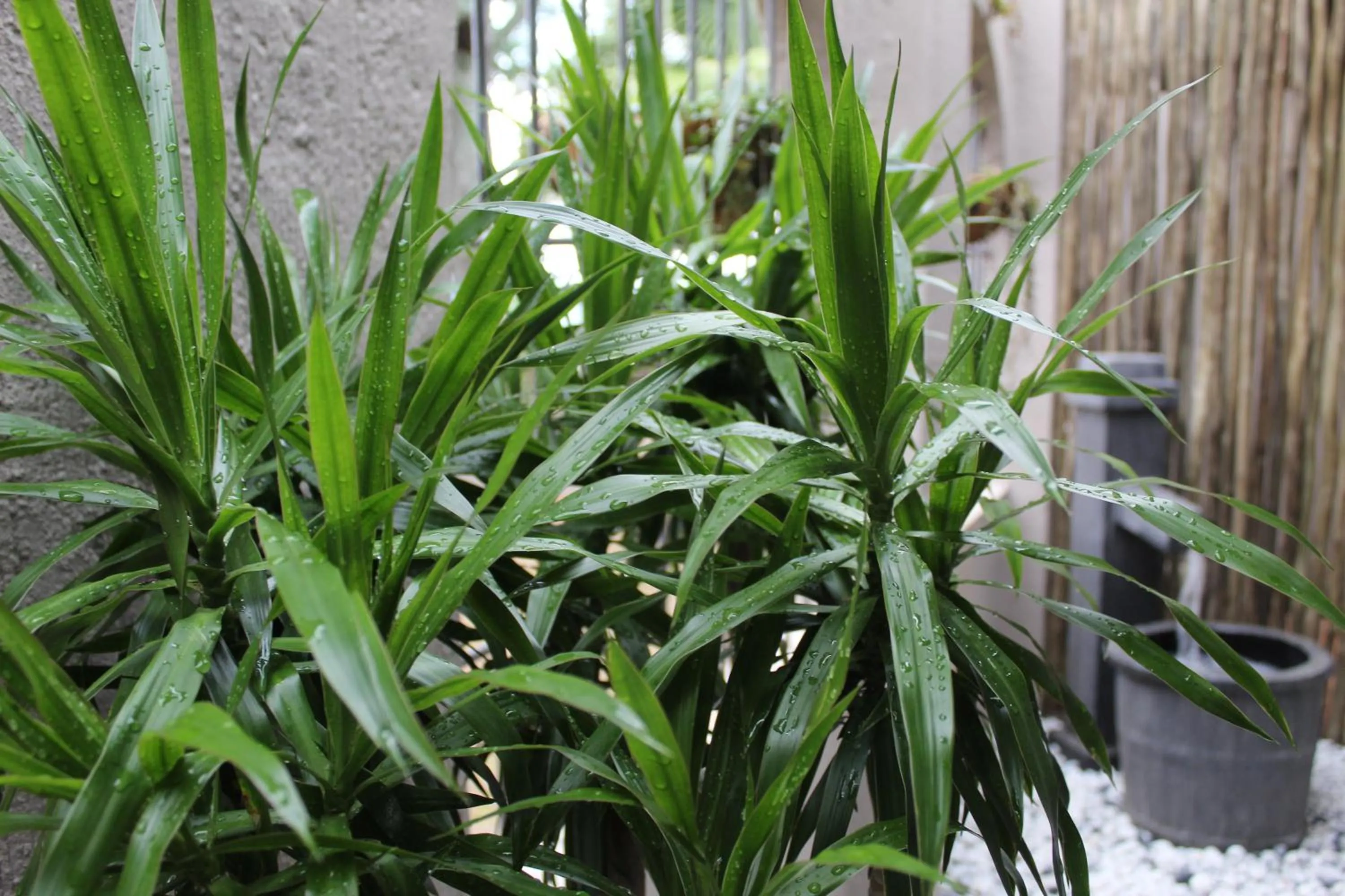 Spa and wellness centre/facilities in Magoebaskloof Mountain Lodge