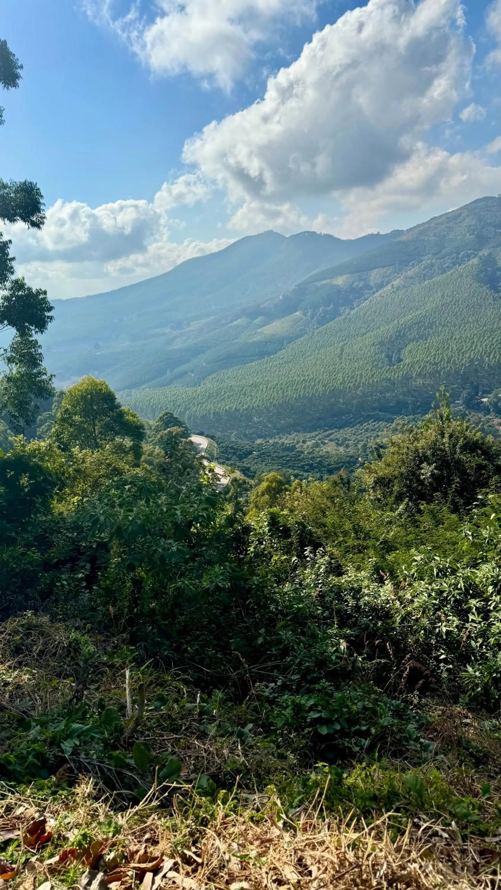 Landmark view in Magoebaskloof Mountain Lodge