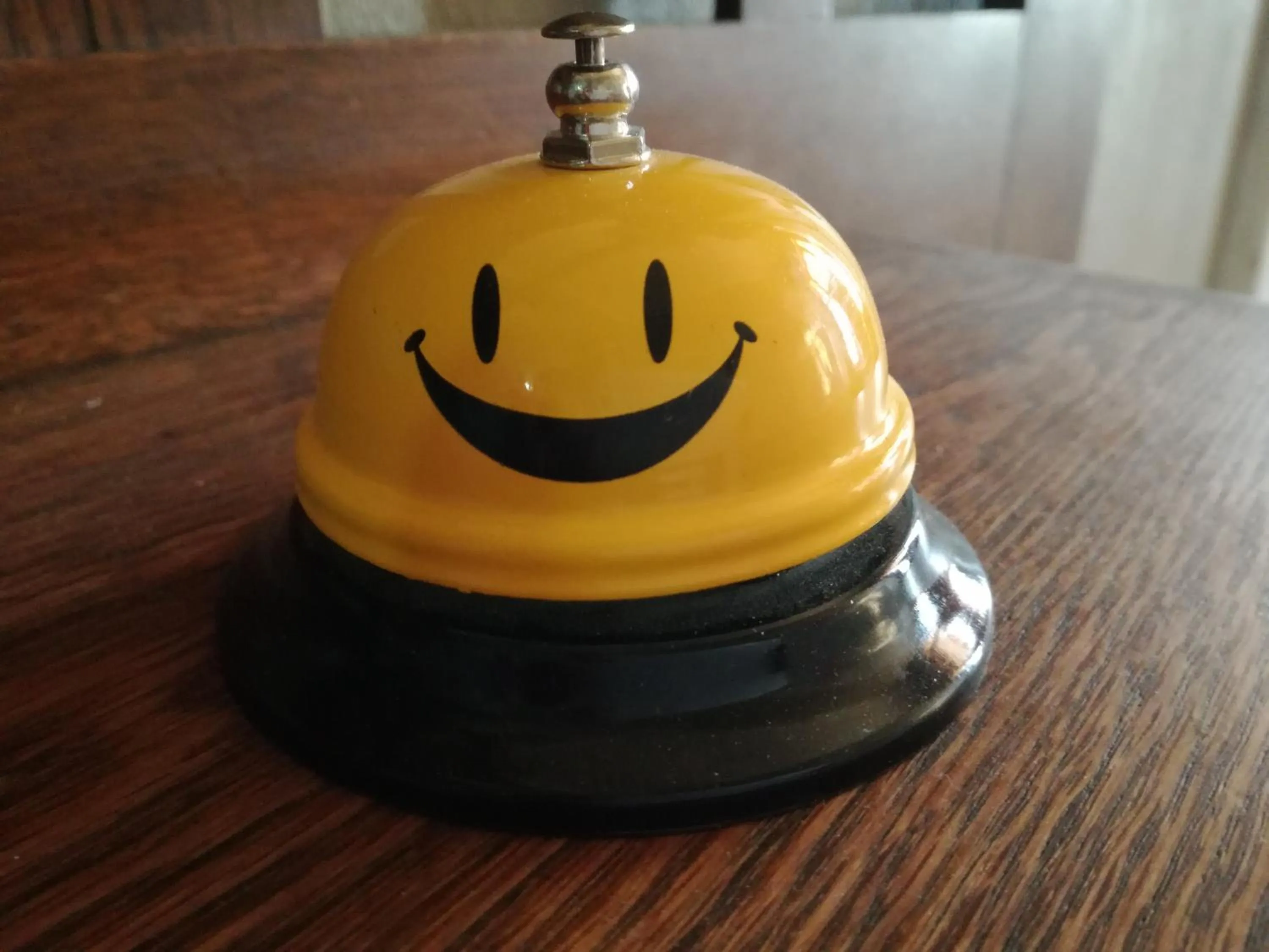 Staff in Ladybrand Heritage House