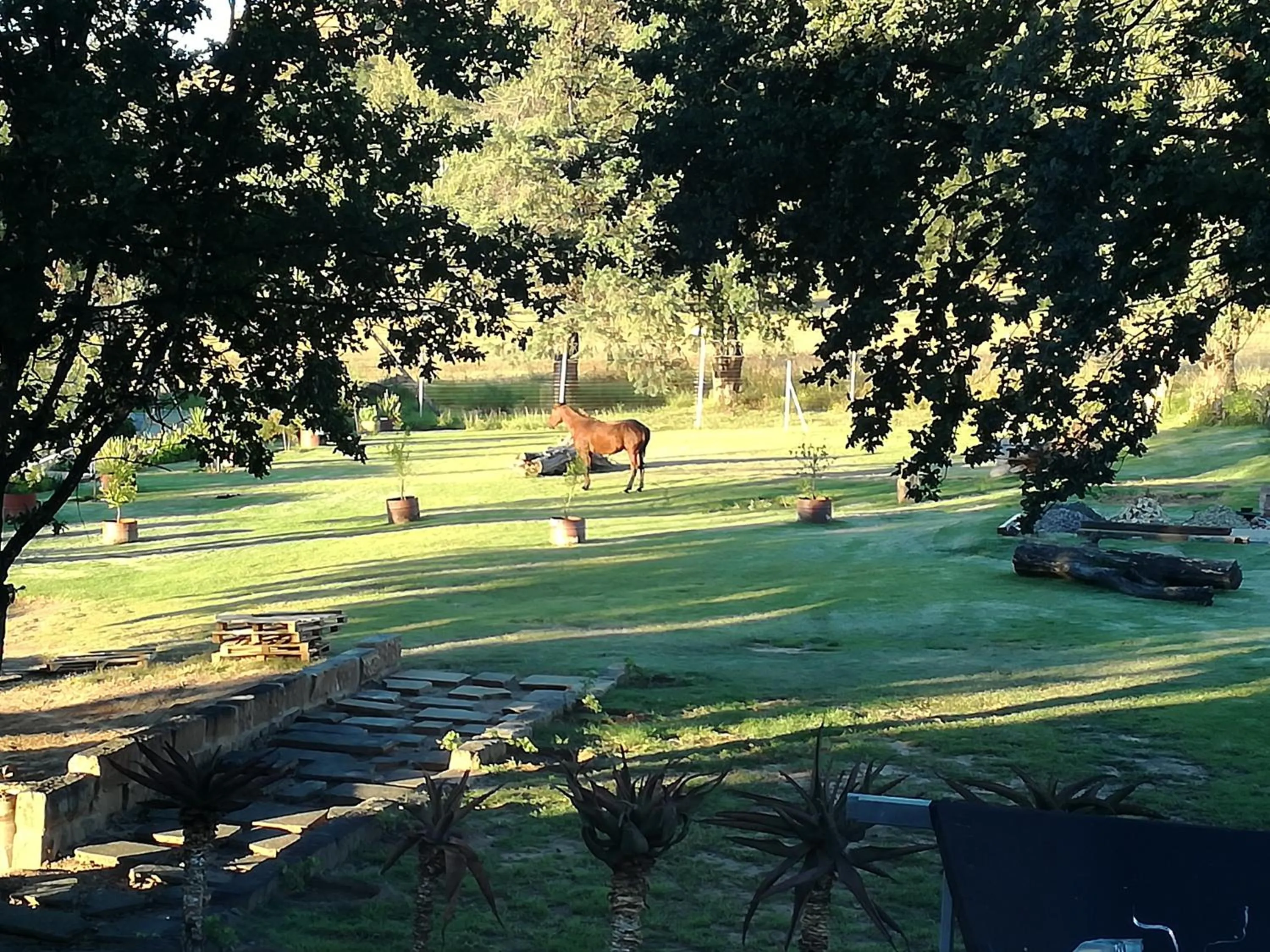 Garden view in Ladybrand Heritage House
