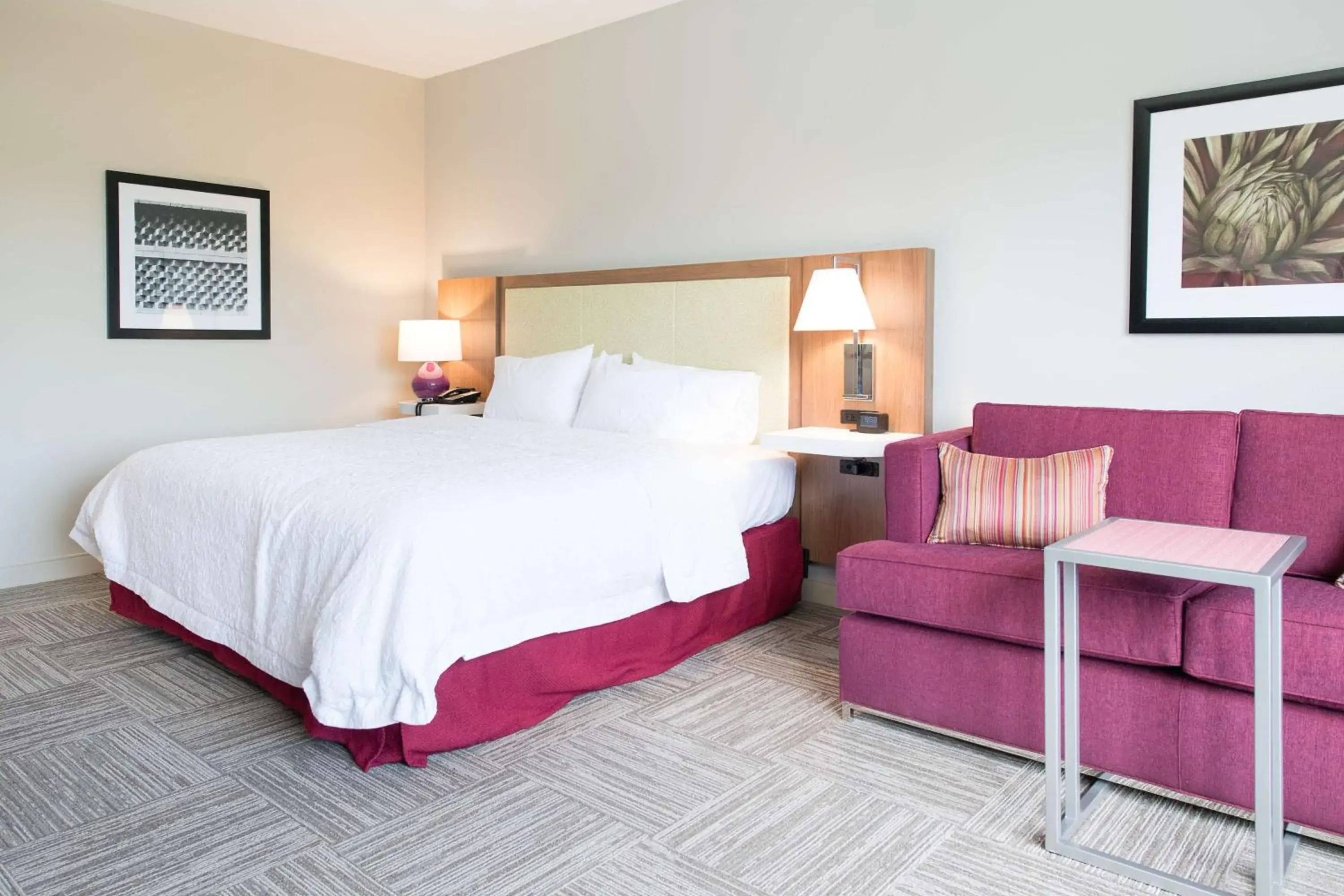 King Studio Suite with Sofa Bed - Hearing Access/Non-Smoking in Hampton Inn and Suites Fayetteville, NC King Studio Suite with Sofa Bed - Hearing Access/Non-Smoking in Hampton Inn and Suites Fayetteville, NC