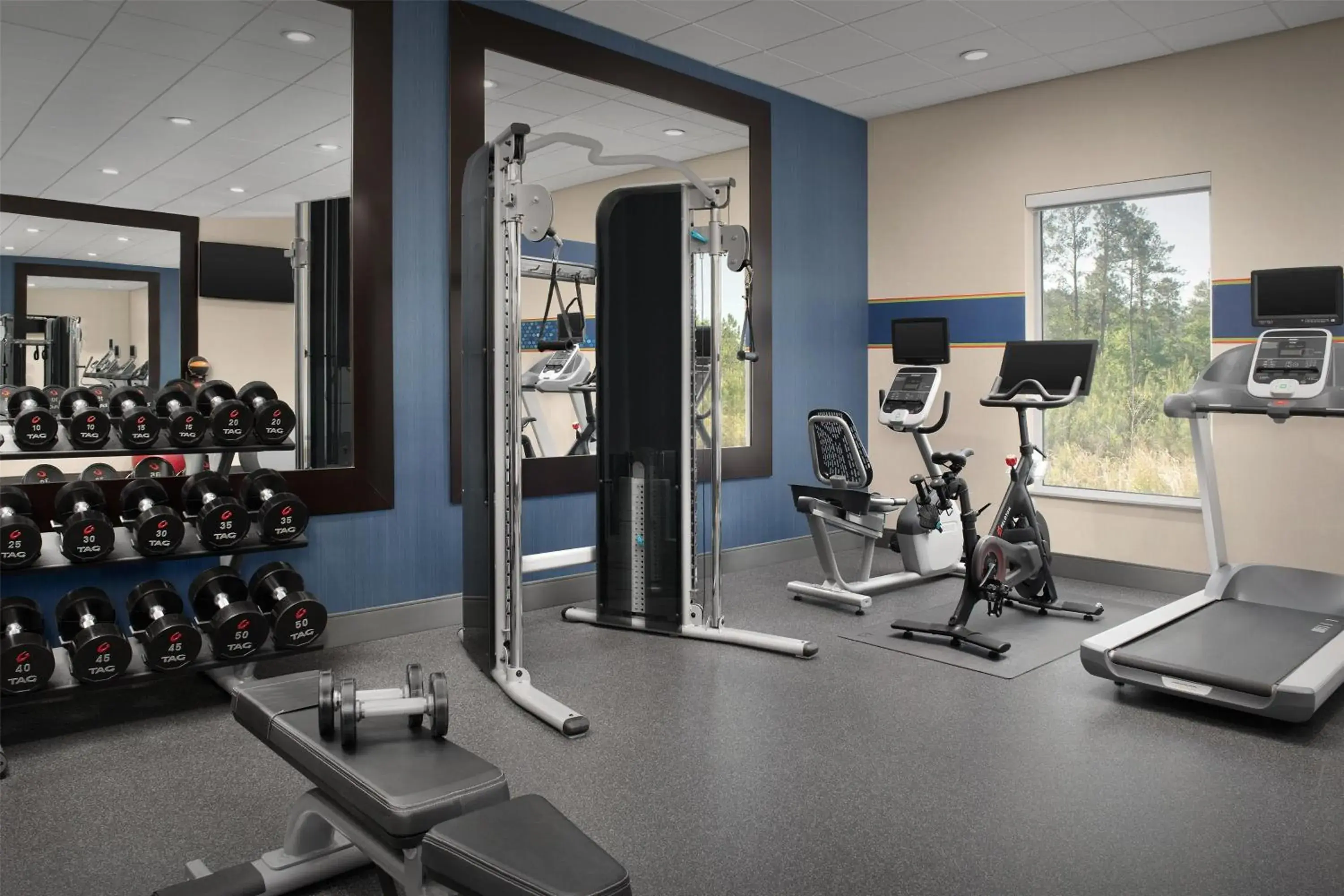 Fitness centre/facilities in Hampton Inn & Suites Walterboro Fitness centre/facilities in Hampton Inn & Suites Walterboro