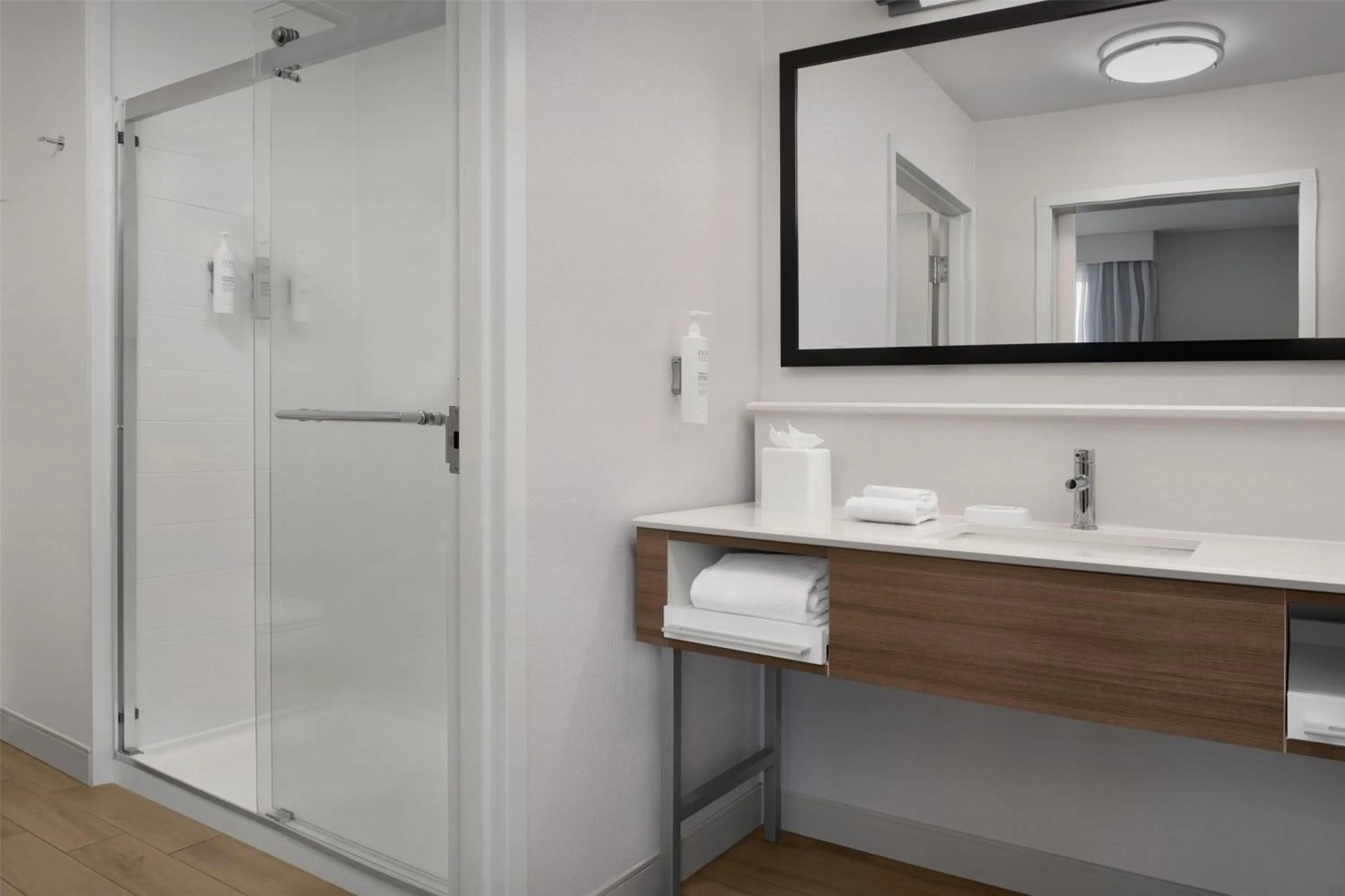 Bathroom in Hampton Inn & Suites Walterboro