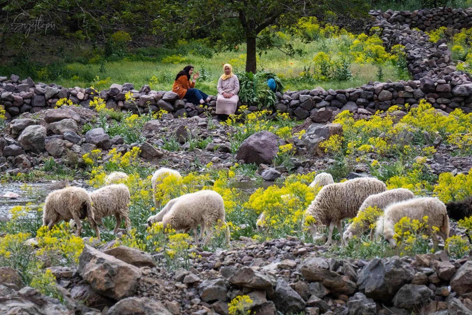 Toubkal Ecolodge