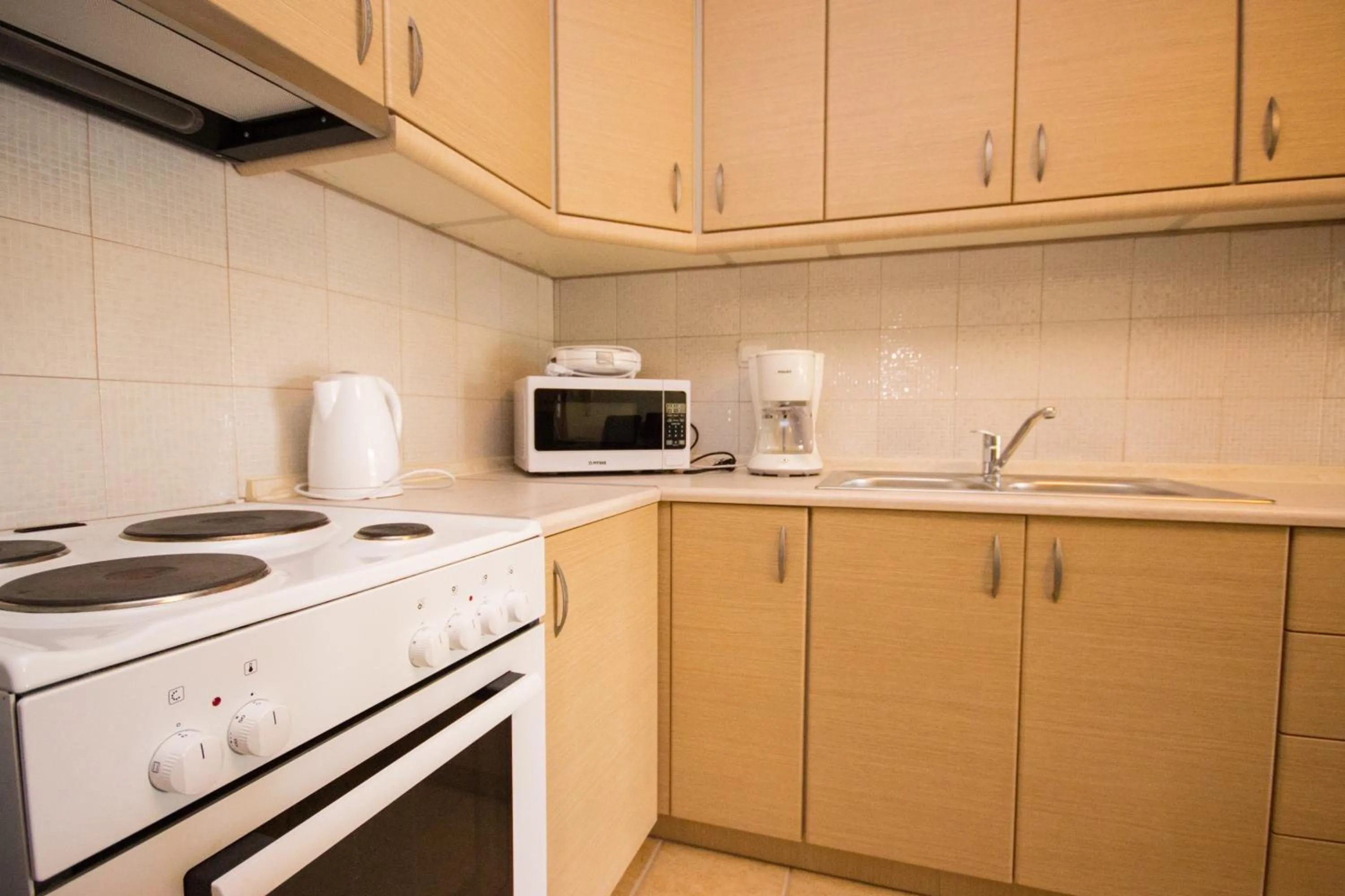 Kitchen or kitchenette in Stasa Luxury Apartments