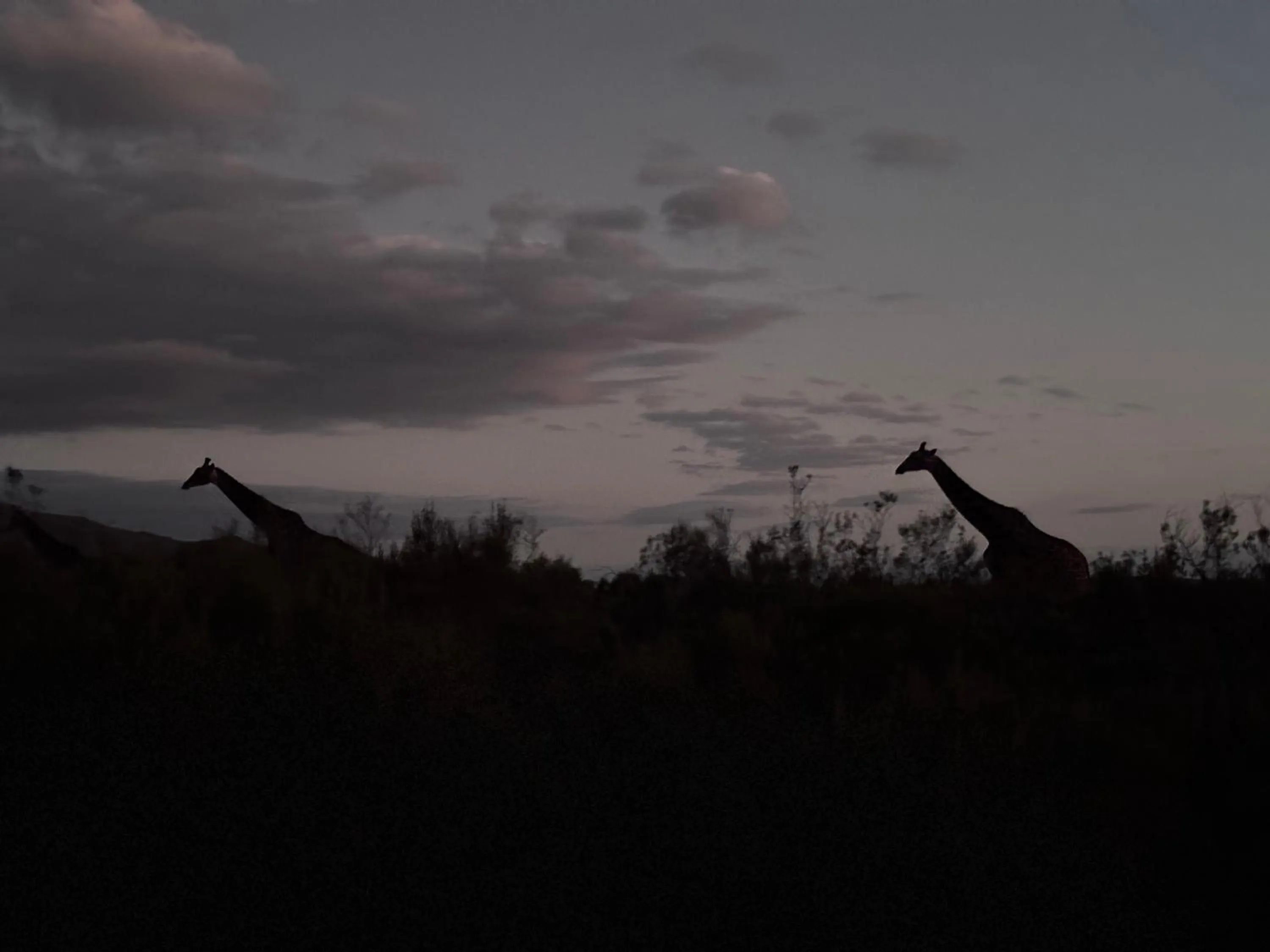 Activities in Wildehondekloof Game Lodge