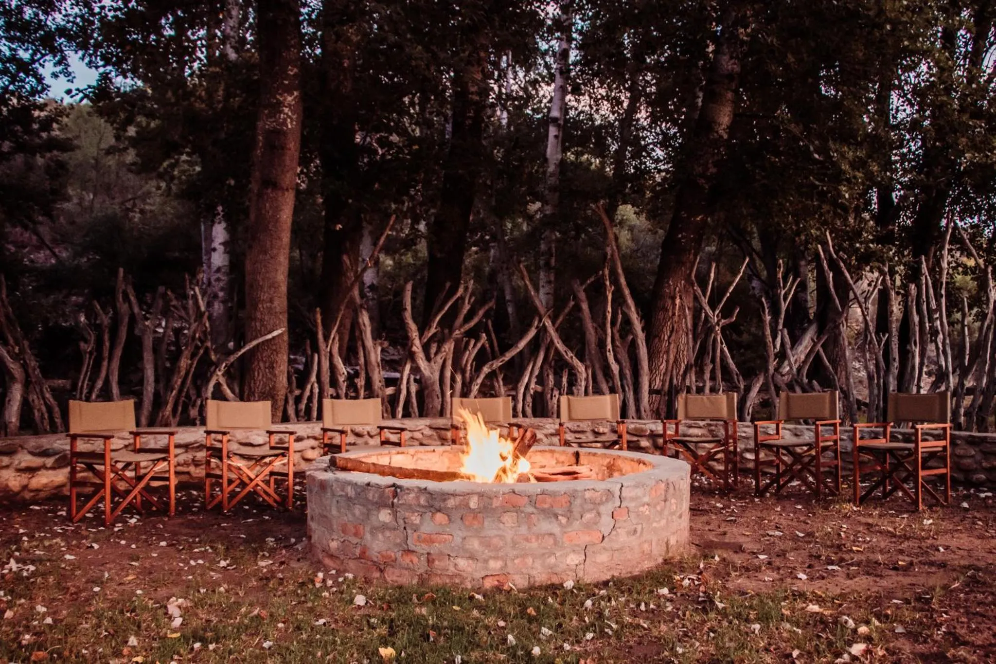 Activities in Wildehondekloof Game Lodge