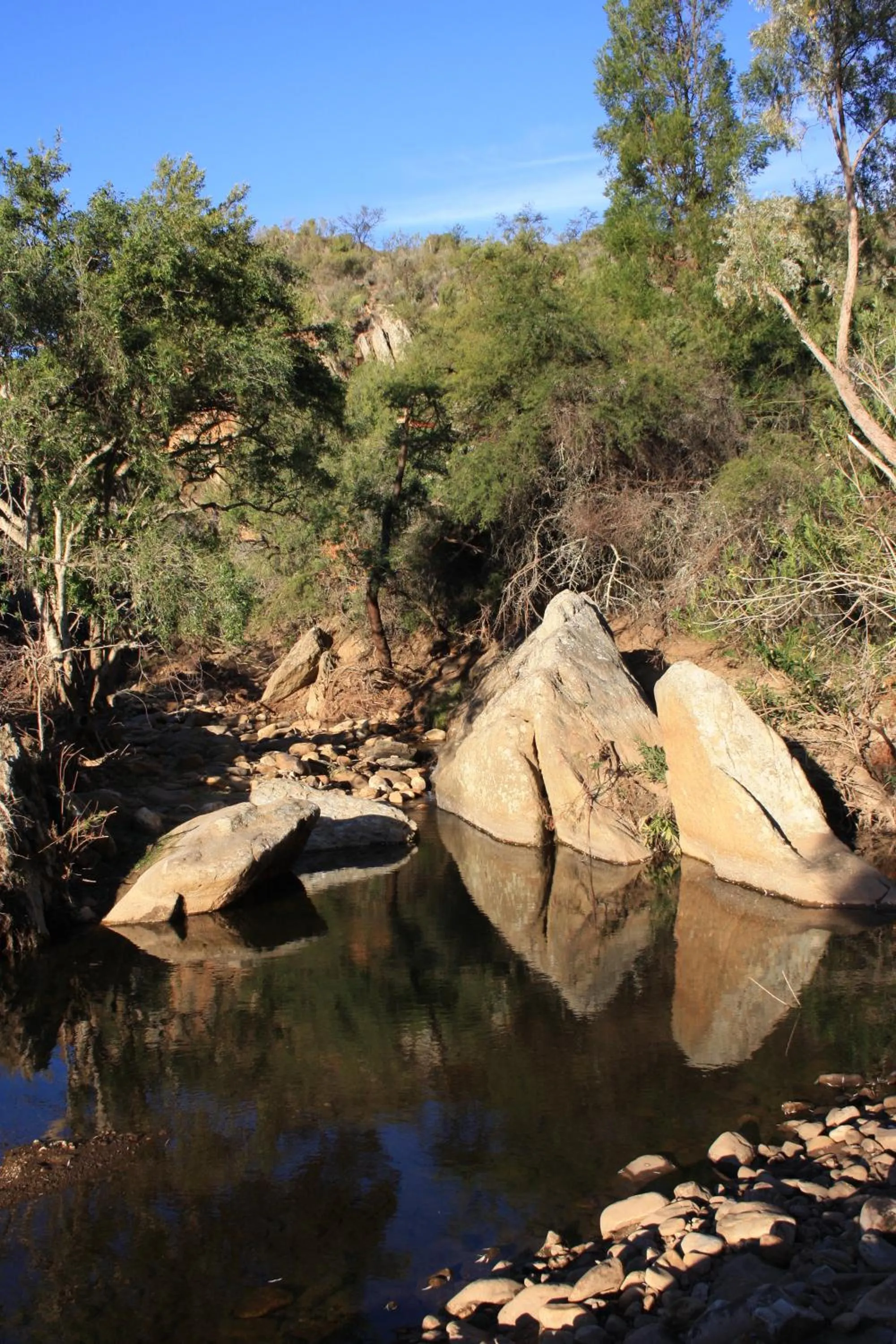 View (from property/room) in Wildehondekloof Game Lodge