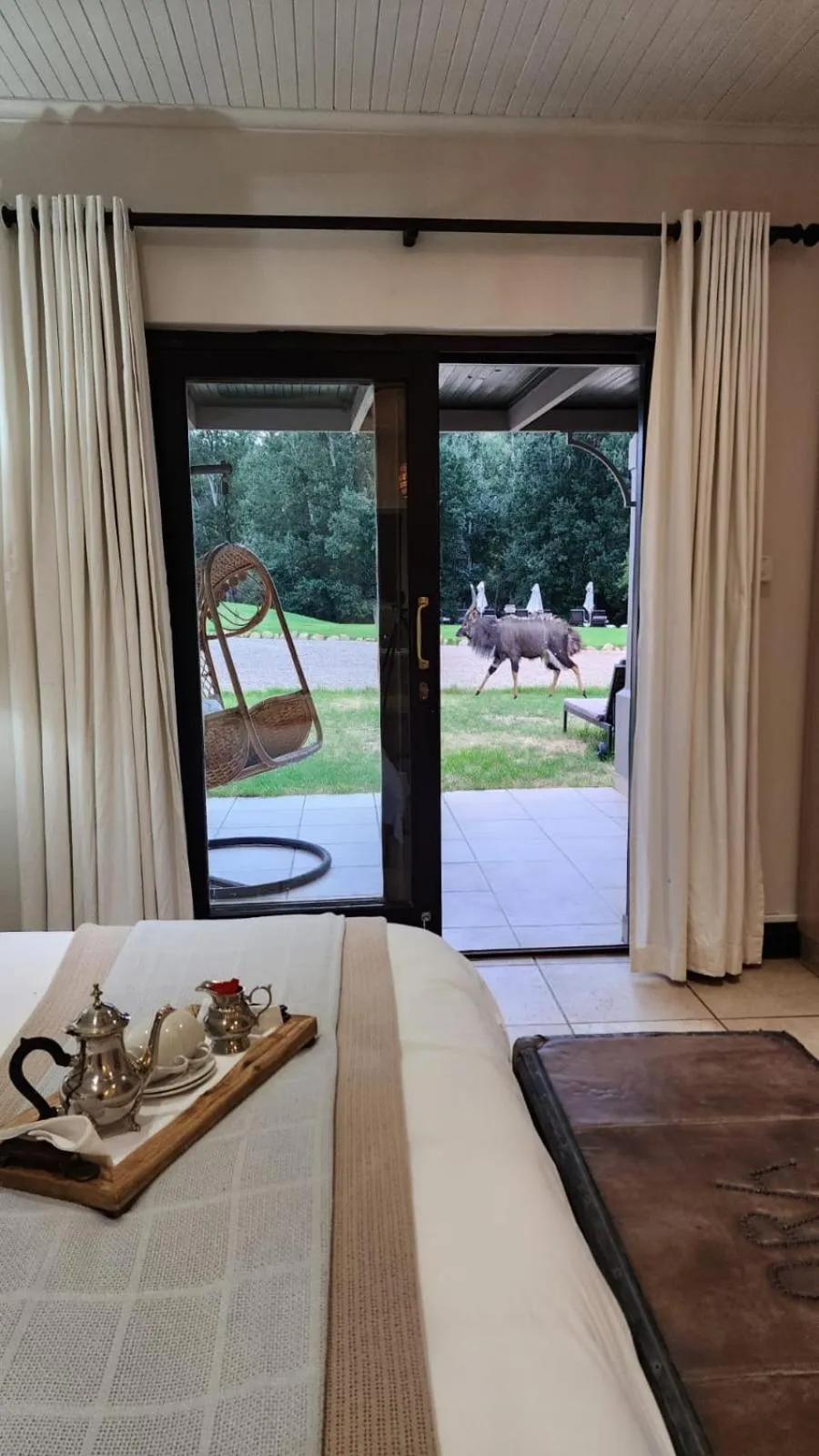 View (from property/room), Bed in Wildehondekloof Game Lodge